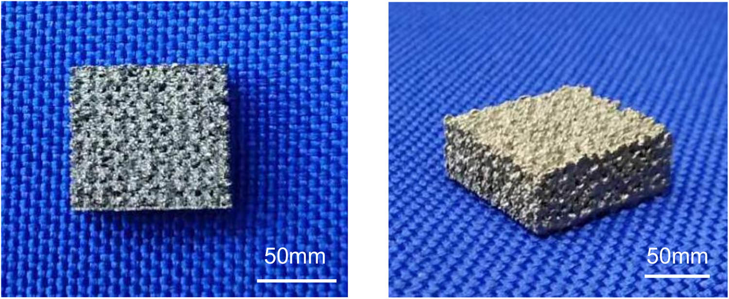 Figure 1 
                  The 3D-printed porous titanium alloy scaffold (parameters: 100 mm × 90 mm × 45 mm). 3D, three-dimensional.
               
