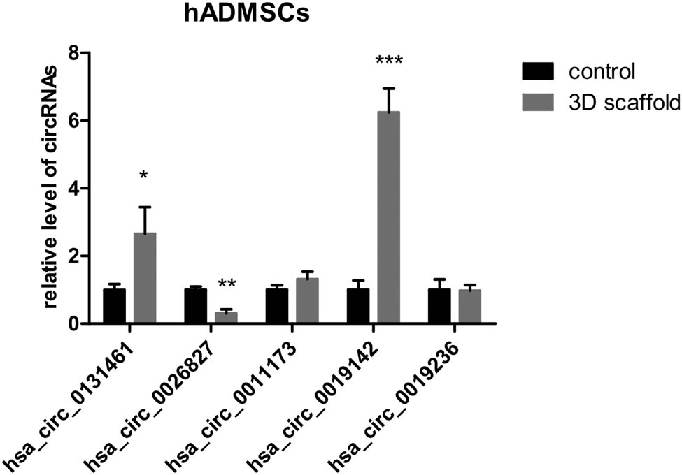 Figure 3 
                  Relative expression of circRNAs in the 3D scaffold group. Cells were seeded in a 2D culture plate (control) and the 3D scaffold (test) to induce osteogenesis; then, they were digested and collected to analyze the relative levels of the five candidate circRNAs (n = 3). 3D, three dimensional; 2D, two dimensional. *P < 0.05, **P < 0.01, and ***P < 0.001.
               