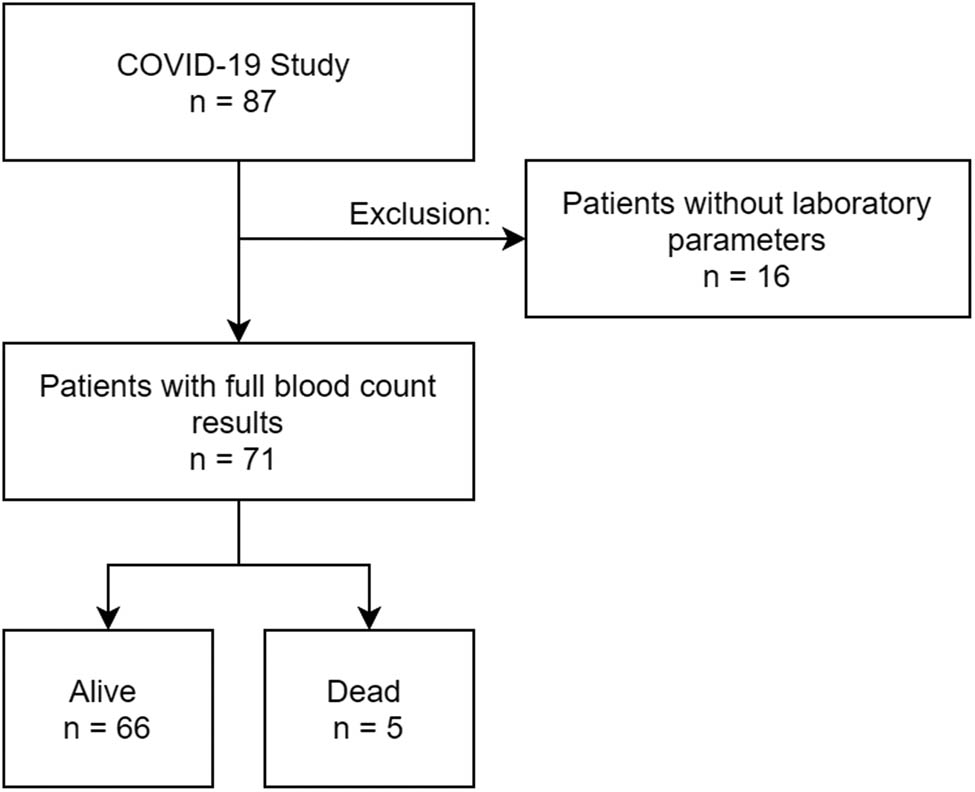 Figure 1 
                  Study design.
               