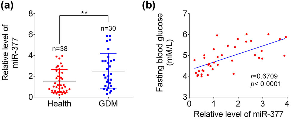 Figure 1 
                  Expression of miR-377-3p and its correlation with fasting blood glucose in GDM patients. (a) Serum expression of miR-377-3p was upregulated in GDM patients compared with that in the healthy women. (b) Serum miR-377-3p levels were positively correlated with the fasting blood glucose in GDM patients (r = 0.6709, p < 0.0001). The data are expressed as mean ± SEM; ** indicates p < 0.01.
               