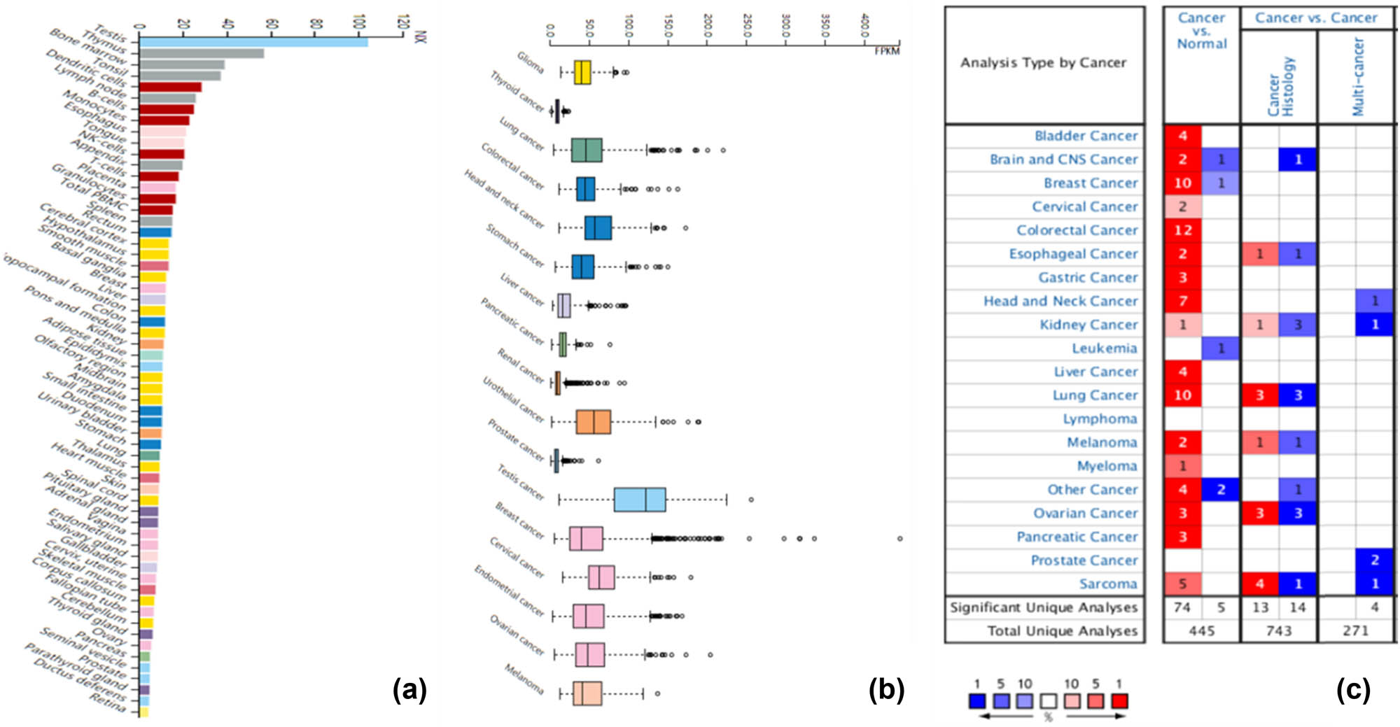 Figure 1 
                  KPNA2 expression analysis. (a) KPNA2 expression in across human body tissues, (b) KPNS2 expression across carcinomas, (c) KPNA2 expression between cancer tissue and paired normal tissues based on oncoming database.
               