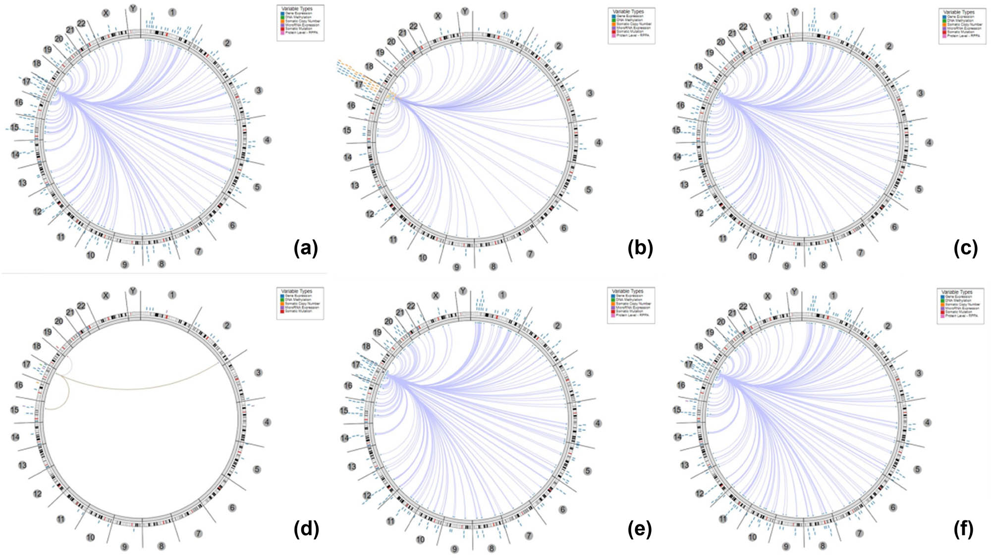 Figure 5 
                  The circus plot demonstrated the associations between KPNA2 and other genes. The edges in the center connecting the features (with genomic coordinates) displayed around the perimeter. The outer ring displays cytogenetic bands. The inner ring displays associations that contain features lacking genomic coordinates. (a) Non-small cell lung cancer, (b) gastric cancer, (c) colorectal cancer, (d) breast cancer, (e) liver hepatic cancer, (f) bladder cancer.
               