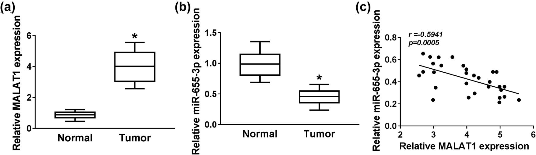 Figure 1 
                  MALAT1 was upregulated, while miR-655-3p was downregulated in RB tumor tissues. (a and b) The expression of MALAT1 and miR-655-3p in RB tumor tissues and normal globe tissues were tested by RT-qPCR. (c) The correlation between miR-655-3p and MALAT1 was verified by Pearson’s correlation analysis. *P < 0.05.
               