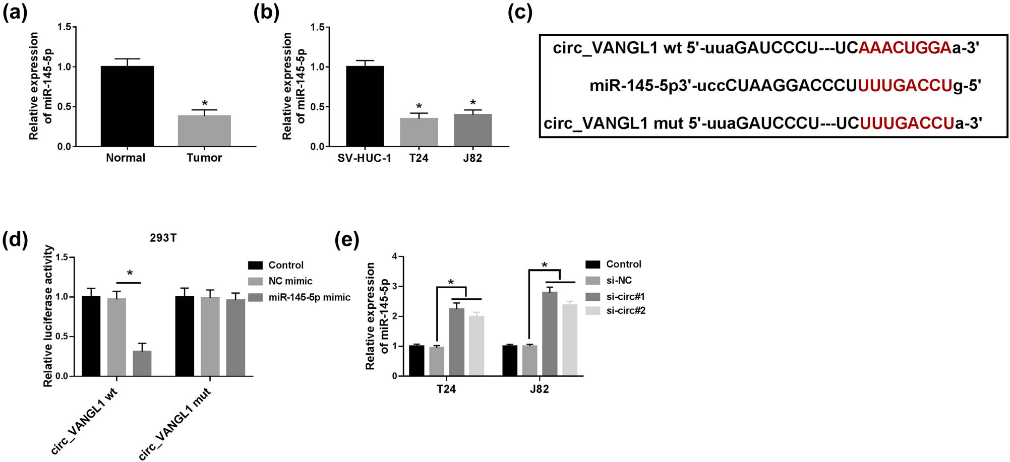 Figure 3 
                  miR-145-5p was a target of circ_VANGL1. (a and b) RT-qPCR was used to detect the level of miR-145-5p in bladder cancer tissues (n = 36) and cells. (c) Schematic of the putative or mutant binding sites of miR-145-5p in circ_VANGL1 that predicted by starBase v2.0 tool. (d) The luciferase activity in 293T cells co-transfected with miR-145-5p mimic or NC-mimic and circ_VANGL1 wt or circ_VANGL1 mut. (e) T24 and J82 cells were transfected with si-NC, si-circ#1, or si-circ#2, respectively. And the expression level of miR-145-5p was examined by RT-qPCR. *P < 0.05.
               