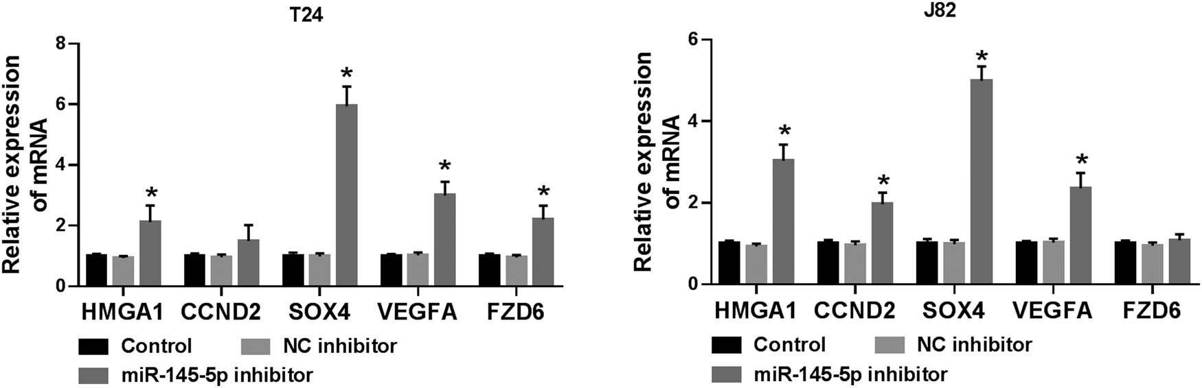 Figure S2 
                  Effect of miR-145-5p inhibitor on the expression of its target mRNAs. T24 and J82 cells was transfected NC inhibitor or miR-145-5p inhibitor, respectively. And the mRNA levels of HMGA1, CCND2, SOX4, VEGFA and FZD6 were assessed by RT-qPCR. *P < 0.05.
               