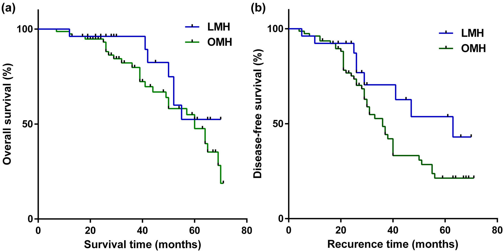 Figure 2 
                  Weighted Kaplan–Meier plot for DFS and OS for LMH versus OMH. (a) Median DFS of LMH and OMH groups was 63.0 and 36.0 months (P = 0.079), respectively. (b) Median OS of LMH and OMH groups was 60.0 and 60.0 months (P = 0.172), respectively.
               