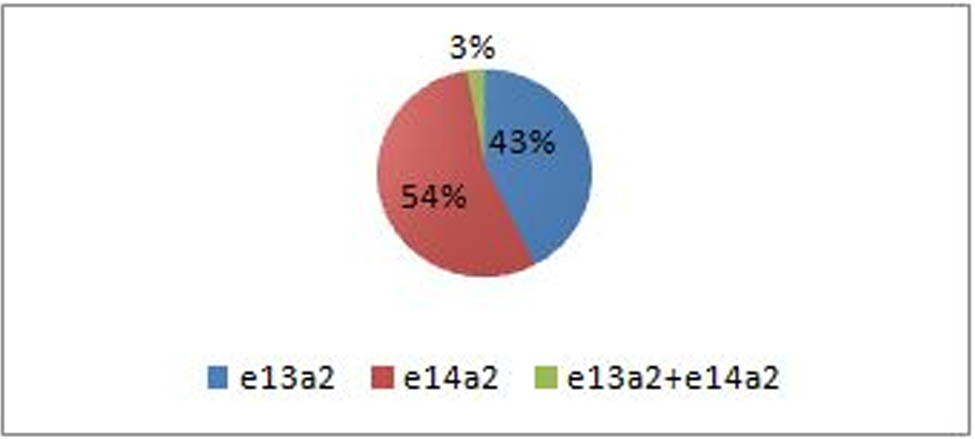 Figure 3
Frequency of different types of BCR–ABL transcripts among 70 CML patients in chronic phase analyzed in the study. Total of 38 (54%) patients had solitary expression of e14a2 transcript. Expression of e13a2 exclusively was found in 30 (43%) patients. Co-expression of both types of transcripts (e13a2 + e14a2) was observed in only two (3%) patients. The types of transcripts detected in all patients are color coded as shown in box.