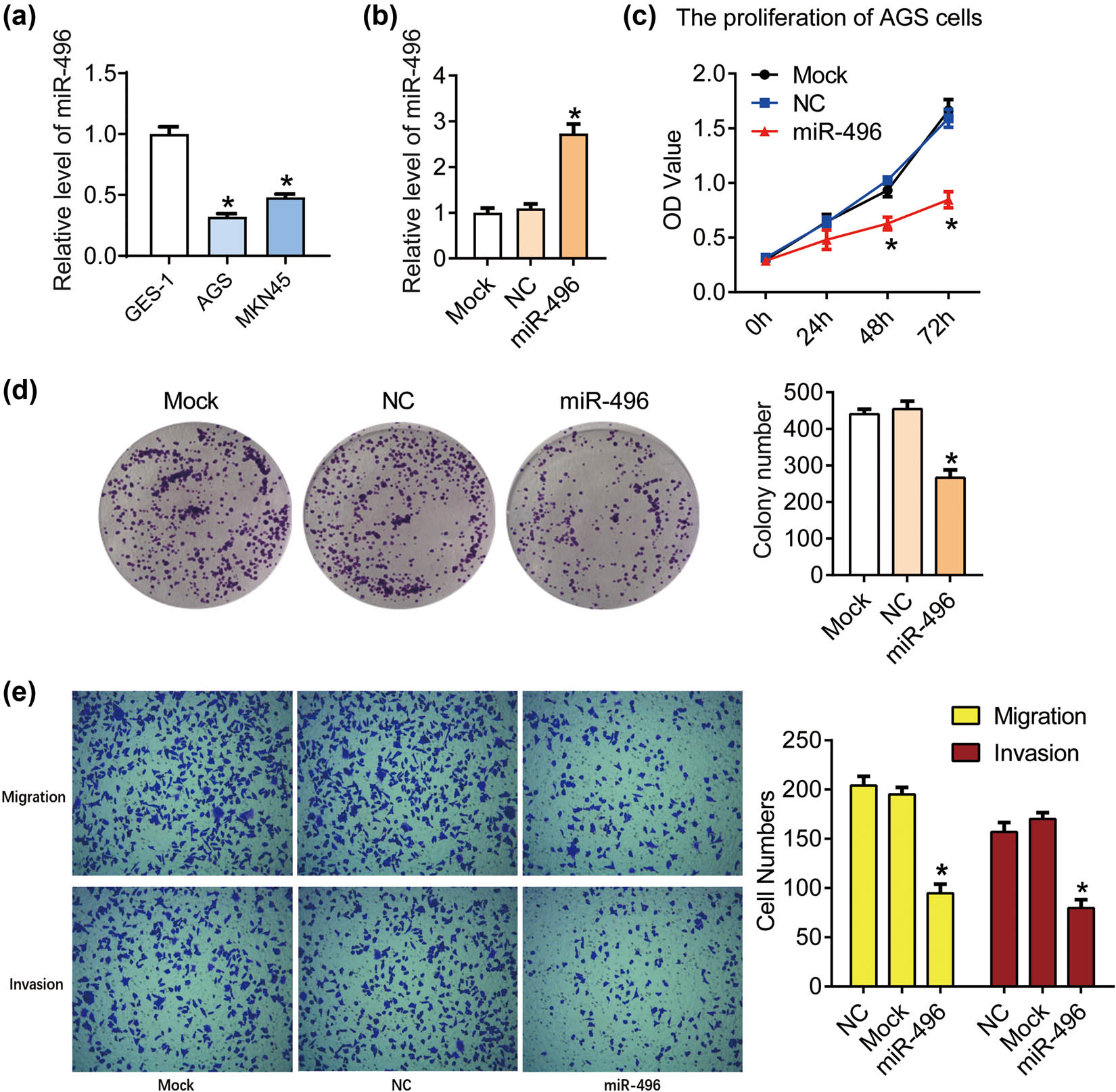 Figure 1
miR-496 inhibited the proliferation and metastasis in gastric cancer cells. (a) QPCR was performed to detect the level of miR-496 in AGS cells. (b) The level of miR-496 in AGS cells transfected with miR-496 mimics was detected by qPCR. Relative level of miR-496 was analyzed using 2−ΔΔCt method and normalized to mock group. (c) The proliferation of AGS cells was determined using CCK8 assay. OD value (450 nm) was measured every 24 h. (d) Clonogenic assay was used to detect the proliferation of AGS cells. Colony number was counted 2 weeks after the culture. (e) The migration and invasion of AGS cells were detected by transwell assay after the transfection for 24 h. NC = negative control. *P < 0.05.