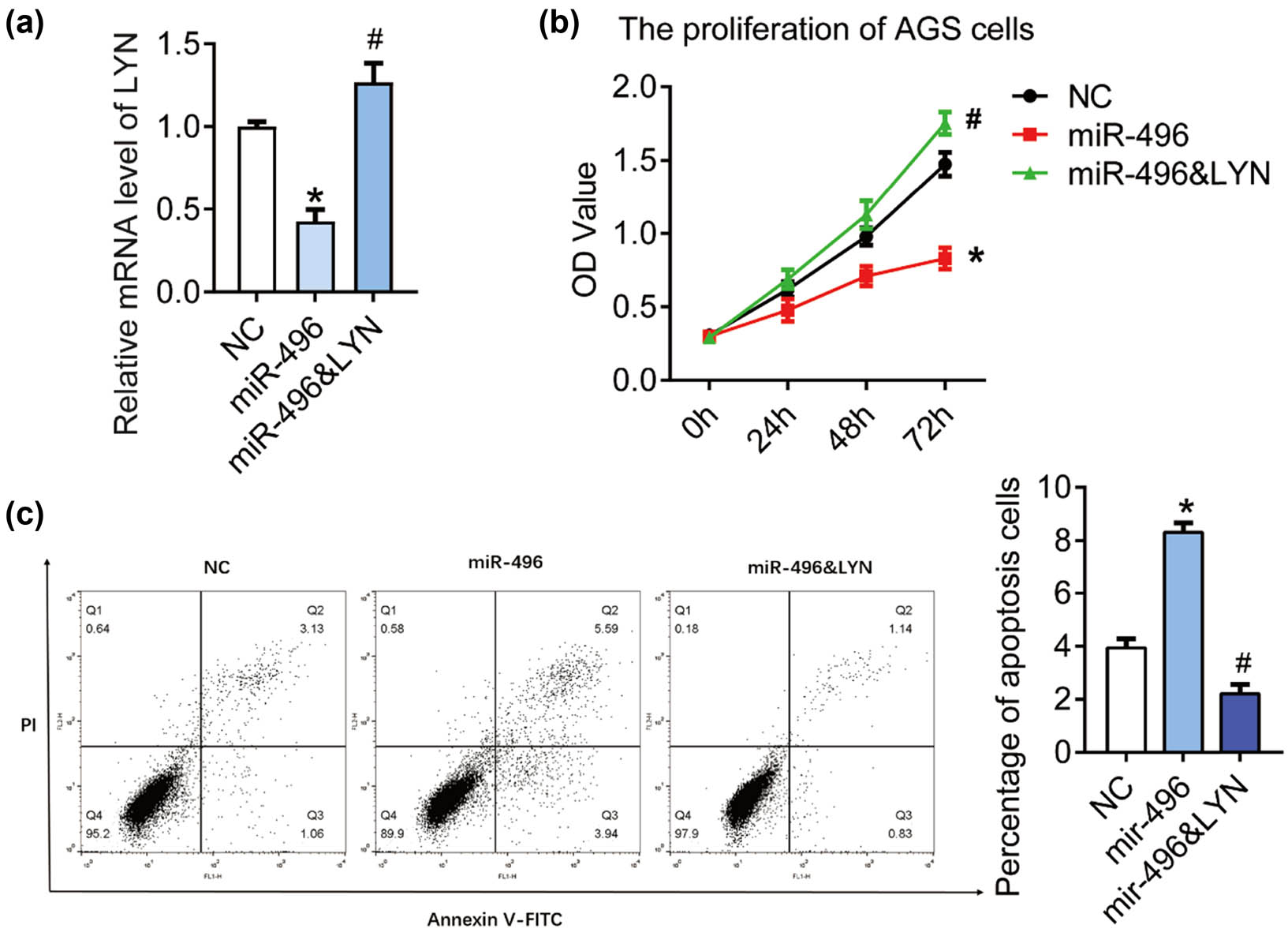 Figure 4
LYN blocked cell apoptosis induced by miR-496 in gastric cancer cells. (a) QPCR was performed to detect the level of LYN in AGS cells transfected with miR-496 mimics or miR-496 mimics + LYN overexpression. (b) The proliferation was detected by CCK8 assay. OD value (450 nm) was measured every 24 h. (c) Flow cytometry was performed to detect the apoptosis in AGS cells. NC = negative control. *P < 0.05; #
P < 0.05.