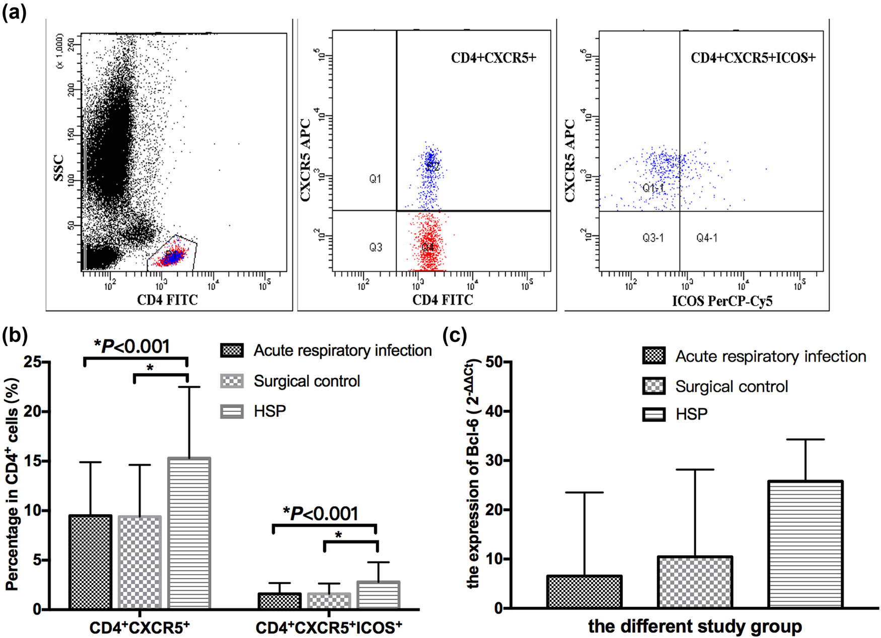 Figure 1 
                  CD4+ CXCR5+, CD4+ CXCR5+ ICOS+ Tfh cells and Bcl-6 expression in the HSP children and control group. (a) The gating strategy for Tfh cell analysis, and the percentages of CD4+ cells, CD4+ CXCR5+ and CD4+ CXCR5+ ICOS+ Tfh cells were obtained in sequence. (b) The proportion of CD4+ CXCR5+ and CD4+ CXCR5+ ICOS+ Tfh cells was significantly higher than that of the acute respiratory tract infection and surgical control group (P < 0.001). No statistical differences were noticed in the proportion of CD4+ CXCR5+ and CD4+ CXCR5+ ICOS+ Tfh cells between the acute respiratory tract infection and surgical control (P > 0.05). (c) No statistical differences were noticed in the Bcl-6 expression among the acute respiratory infection group, surgical control and HSP groups (P > 0.05).
               
