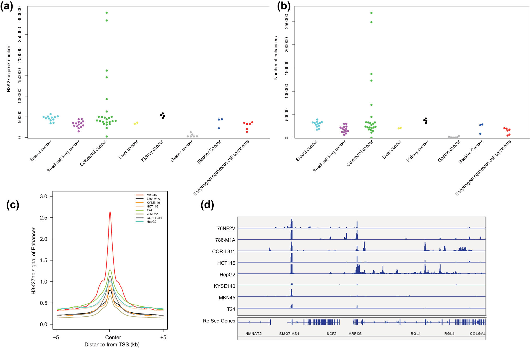 Figure 1 
                  H3K27ac signal intensity on the enhancers of the eight common malignant tumor cell lines. (a) The number of significant H3K27ac signal peaks in eight common malignant tumor cell lines. (b) The number of enhancers in eight common malignant tumor cell lines. (c) H3K27ac signal intensity on the enhancers of the eight common malignant tumor cell lines. (d) H3K27ac signal intensity in the NCF2 gene region in the eight common malignant tumor cell lines.
               