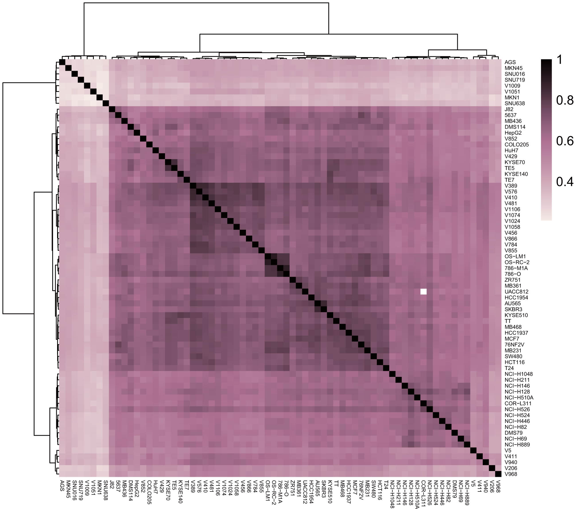 Figure 2 
                  A heat map of the correlation analysis of the H3K27ac signals in different malignant tumor cell lines.
               
