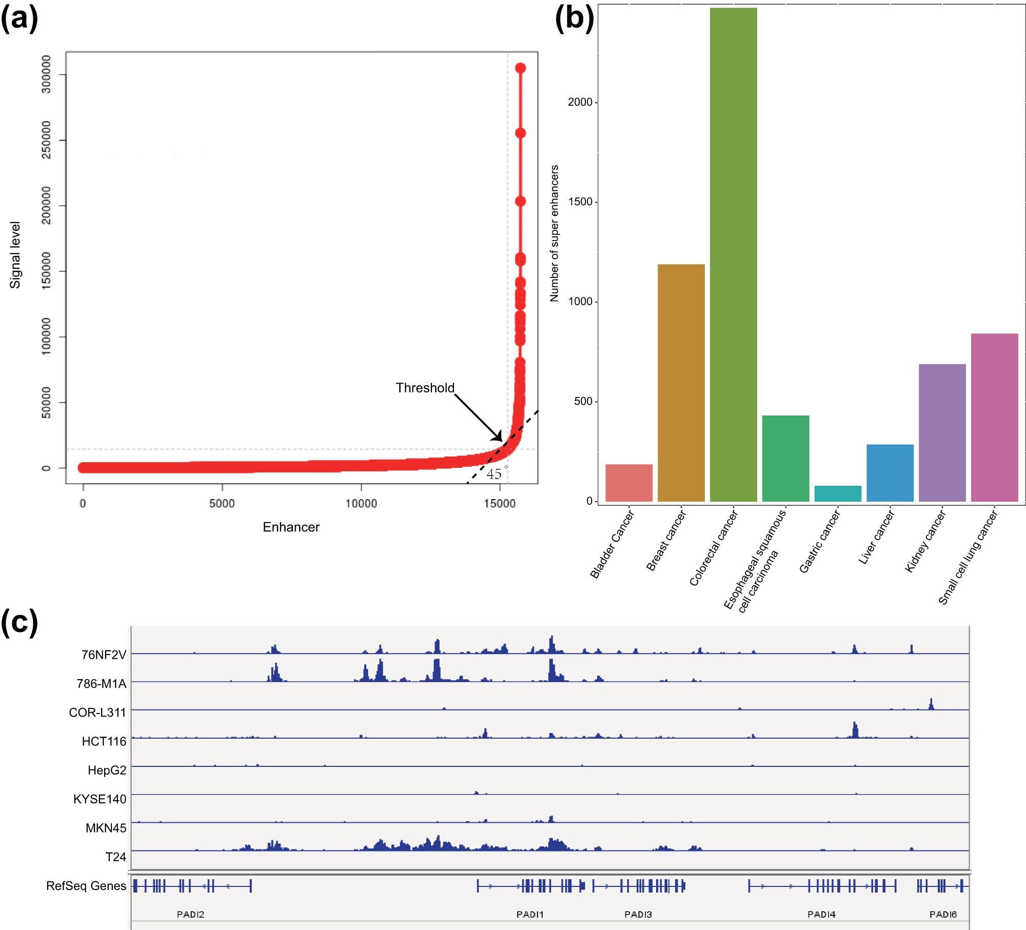 Figure 3 
                  Prediction of SEs in eight common malignant tumor cell lines. (a) Ranking result of the H3K27ac signal intensity of the stitched enhancers and the remaining single enhancers. The arrow indicates the threshold point. (b) The number of SEs that occurred in eight common malignant tumor cell lines. The abscissa represents the type of malignant tumor, and the ordinate represents SEs appearing at least twice in each malignant tumor cell line. (c) The difference in the signal intensity of H3K27ac in the enhancer region of the PADI1 gene in eight common malignant tumor samples.
               