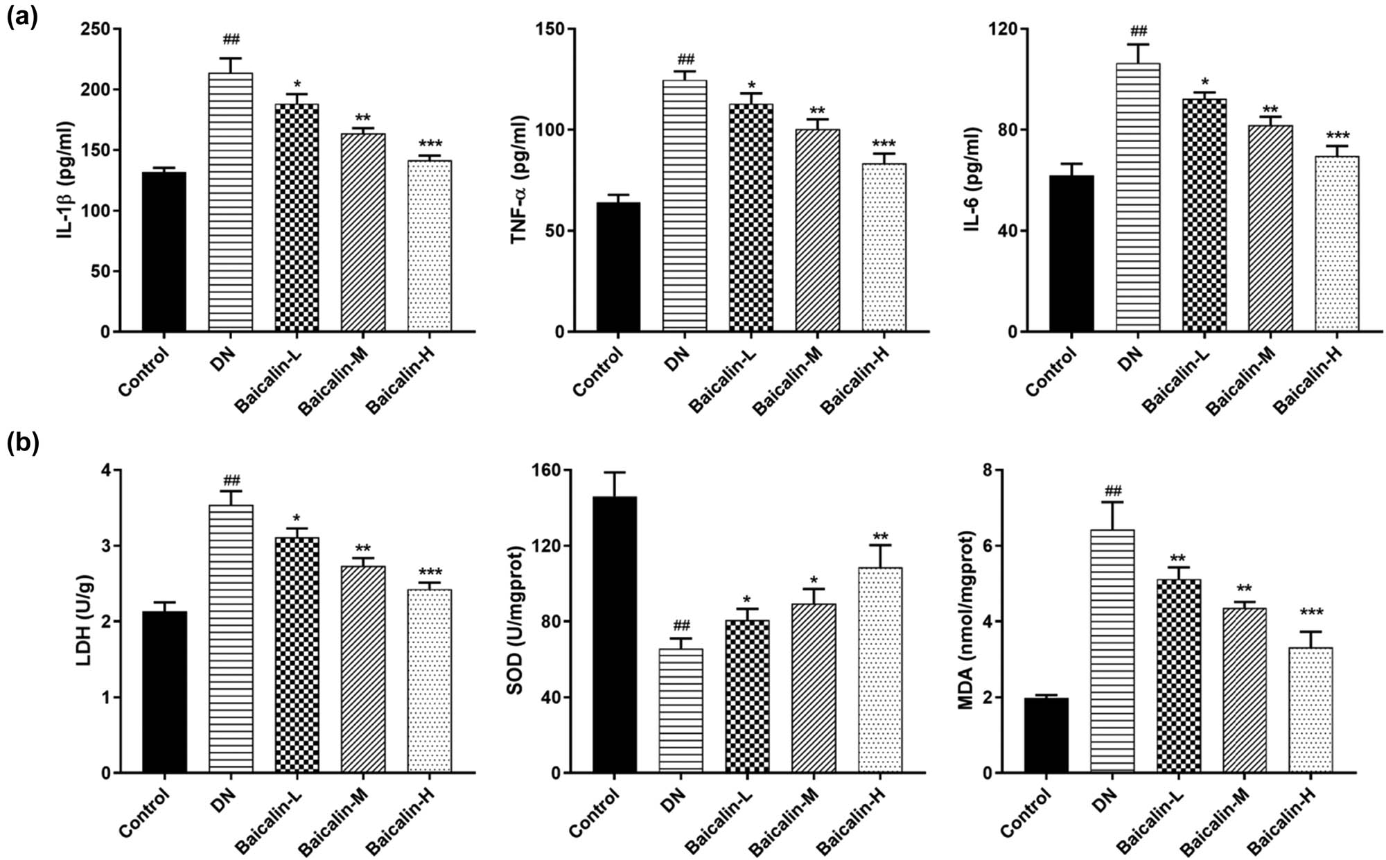 Figure 3 
                  Effects of baicalin on serum inflammatory factors and renal oxidative stress factors in DN rats. The DN rats are administered with 50 mg/kg (Baicalin-L), 100 mg/kg (Baicalin-M), and 200 mg/kg (Baicalin-H) baicalin for 4 weeks by gavage. (a) the expression of inflammatory factors TNF-α, IL-1β, and IL-6 in the serum of rats in each group; (b) the activities of LDH, SOD, and MDA in the renal tissue of rats in each group; ##
                     p < 0.01 vs Control group; *p < 0.05, **p < 0.01, and ***p < 0.001 vs DN group.
               
