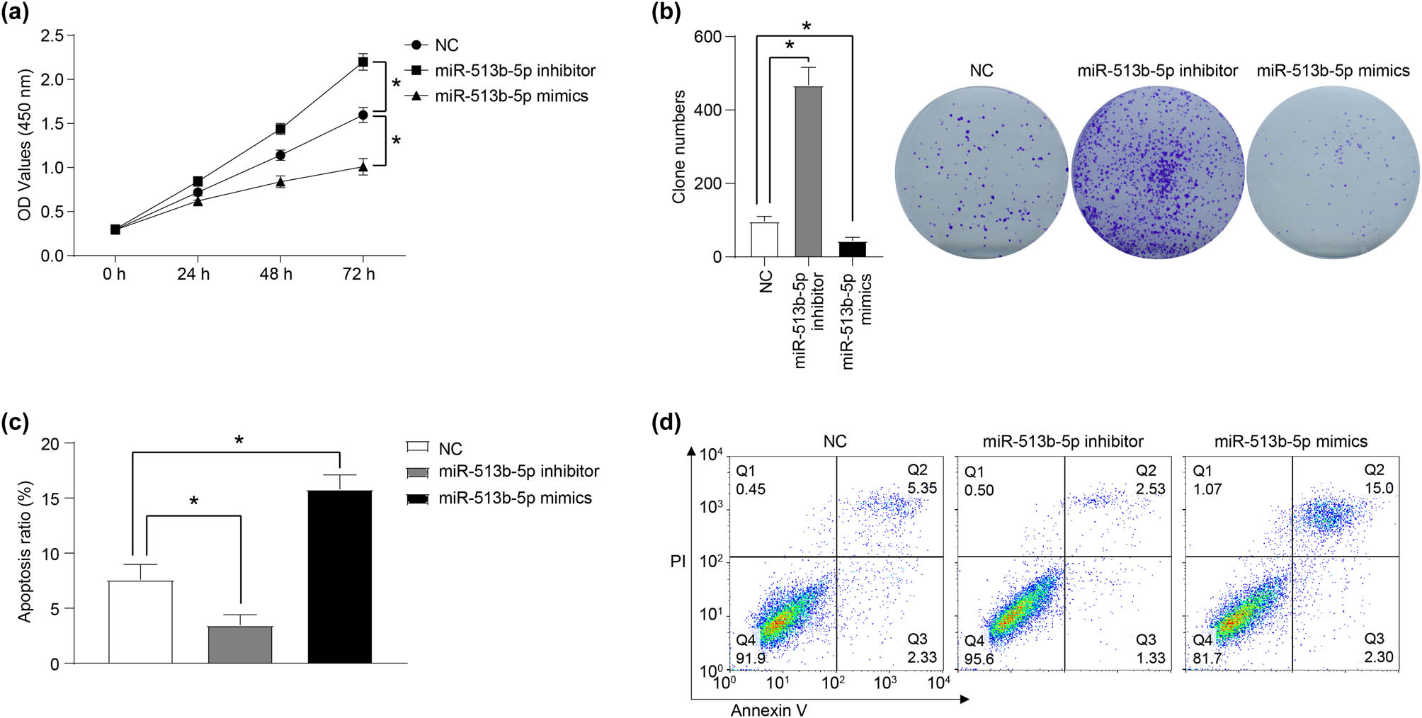Figure 1 
                  miR-513b-5p inhibits the proliferation and promotes the apoptosis of Weri-RB1 cells in vitro. The role of miR-513b-5p mimics and inhibitors in the proliferation, clone formation, and apoptosis of Weri-RB1 cells was detected by CCK-8 (a), clone formation (b), and flow cytometry (c and d) assays. The differences were evaluated using the Mann–Whitney U-test for pair-wise comparisons. *P < 0.05. Each group of a includes six samples, each group of b–d includes three samples. All experiments were repeated three times independently, and the individual experiments were performed 1 week apart.
               