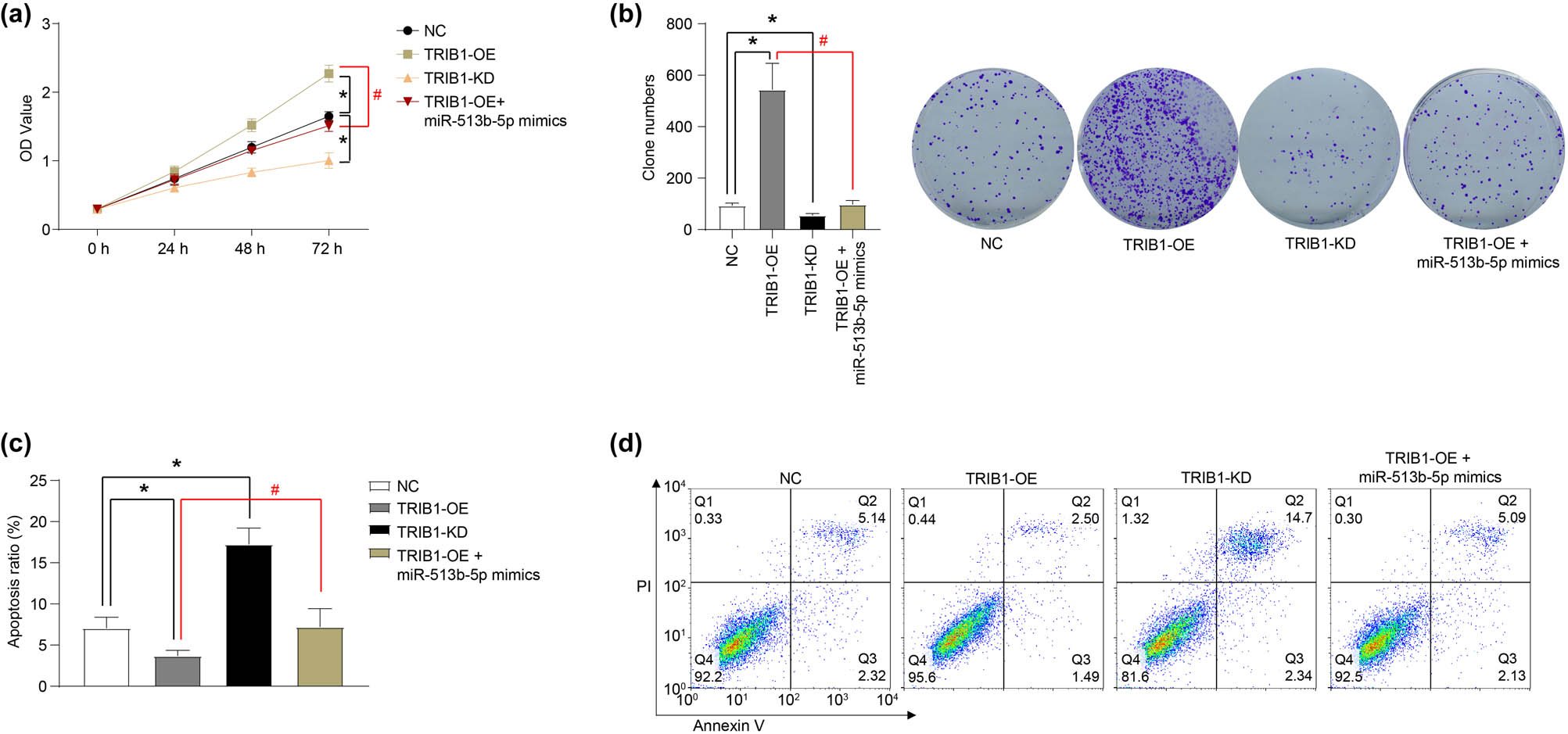 Figure 4 
                  TRIB1 promotes proliferation and inhibits the apoptosis of Weri-RB1 cells in vitro. The role of TRIB1 overexpression (TRIB1-OE) and TRIB1 knockdown (TRIB1-KD) in the proliferation, clone formation, and apoptosis of Weri-RB1 cells was detected by CCK-8 (a), clone formation (b), and flow cytometry (c and d) assays. The differences were evaluated using the Mann–Whitney U-test for pair-wise comparisons. *P < 0.05, compared to NC; #
                     P < 0.05, compared to TRIB1-OE. Each group of (a) includes six samples, each group of (b and d) includes three samples. All experiments were repeated three times independently, and the individual experiments were performed 1 week apart.
               