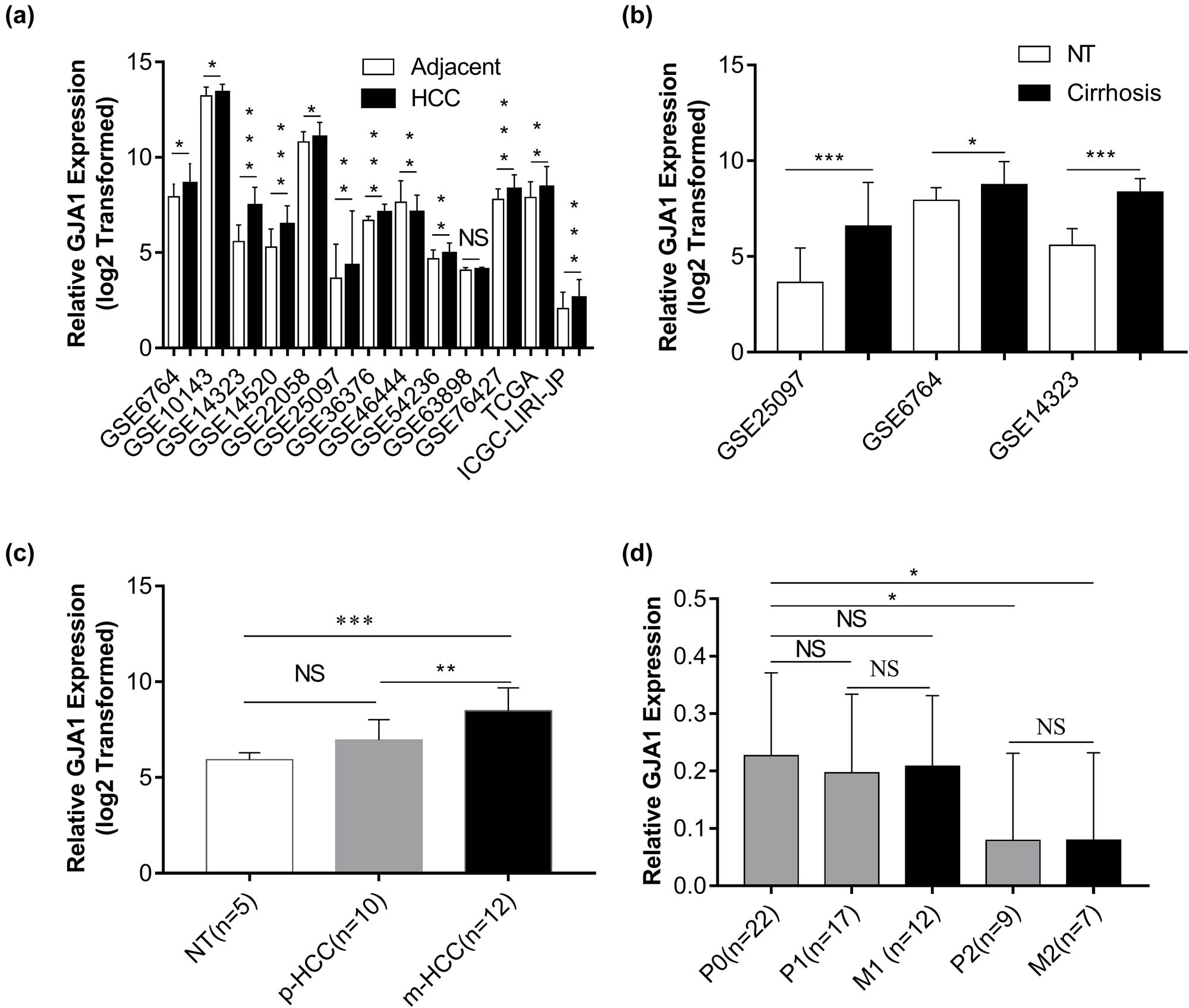 Figure 1 
                  GJA1 is upregulated in HCCs and hepatic cirrhosis. The expression of GJA1 was compared between HCCs and adjacent NTs (a), between hepatic cirrhosis and NTs (b), between pulmonary metastases from HCCs (m-HCC) and primary HCCs without metastasis (p-HCC) (c), and between HCCs with intrahepatic metastasis (M1) or with portal vein tumor thrombus metastases (M2) and their corresponding primary HCCs (P1 or P2) or primary HCCs without metastasis (P0) (d). GJA1, gap junction protein, alpha 1; HCC, hepatocellular carcinoma; NS, not significant; NT, nontumor tissue; *p < 0.05; **p < 0.01; ***p < 0.001 vs the control group.
               