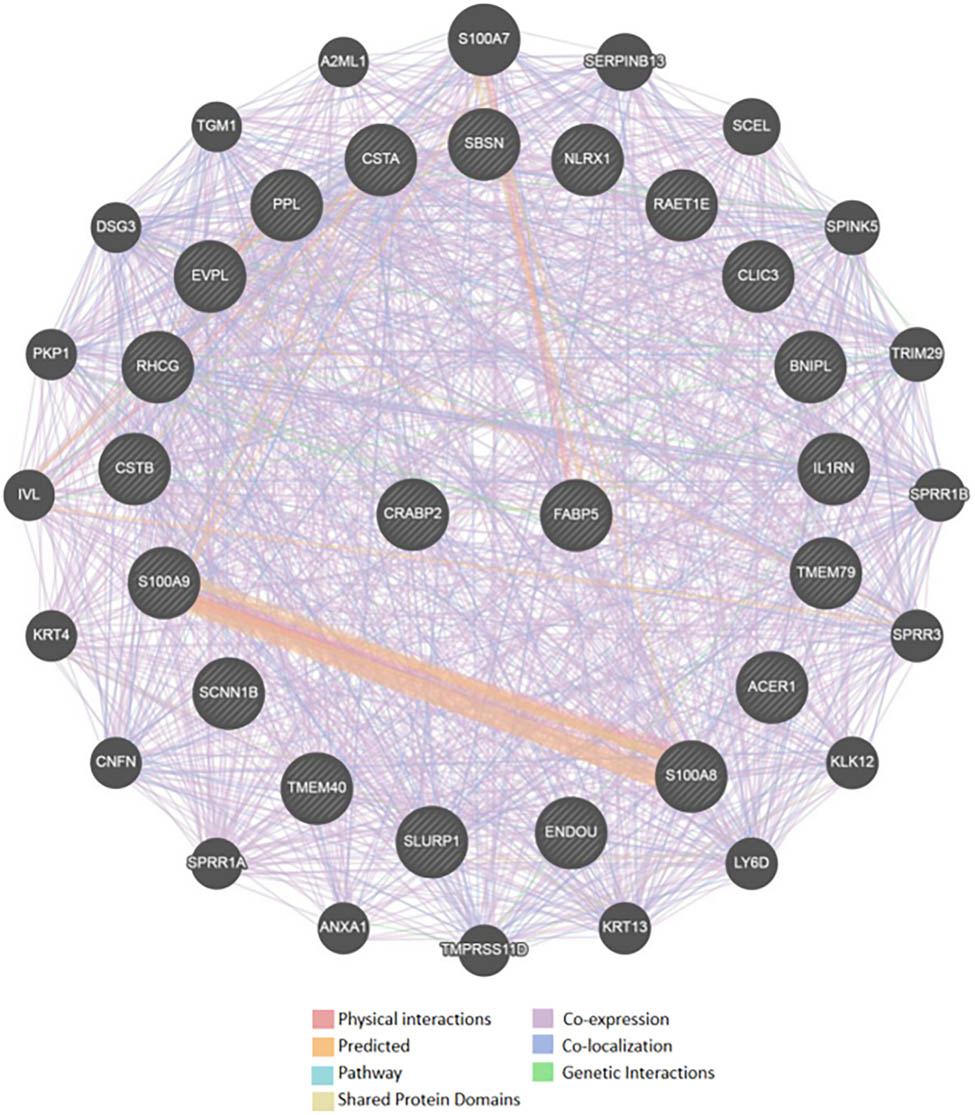 Figure 4 
                  Genemania analysis of CRABP2 interaction proteins.
               