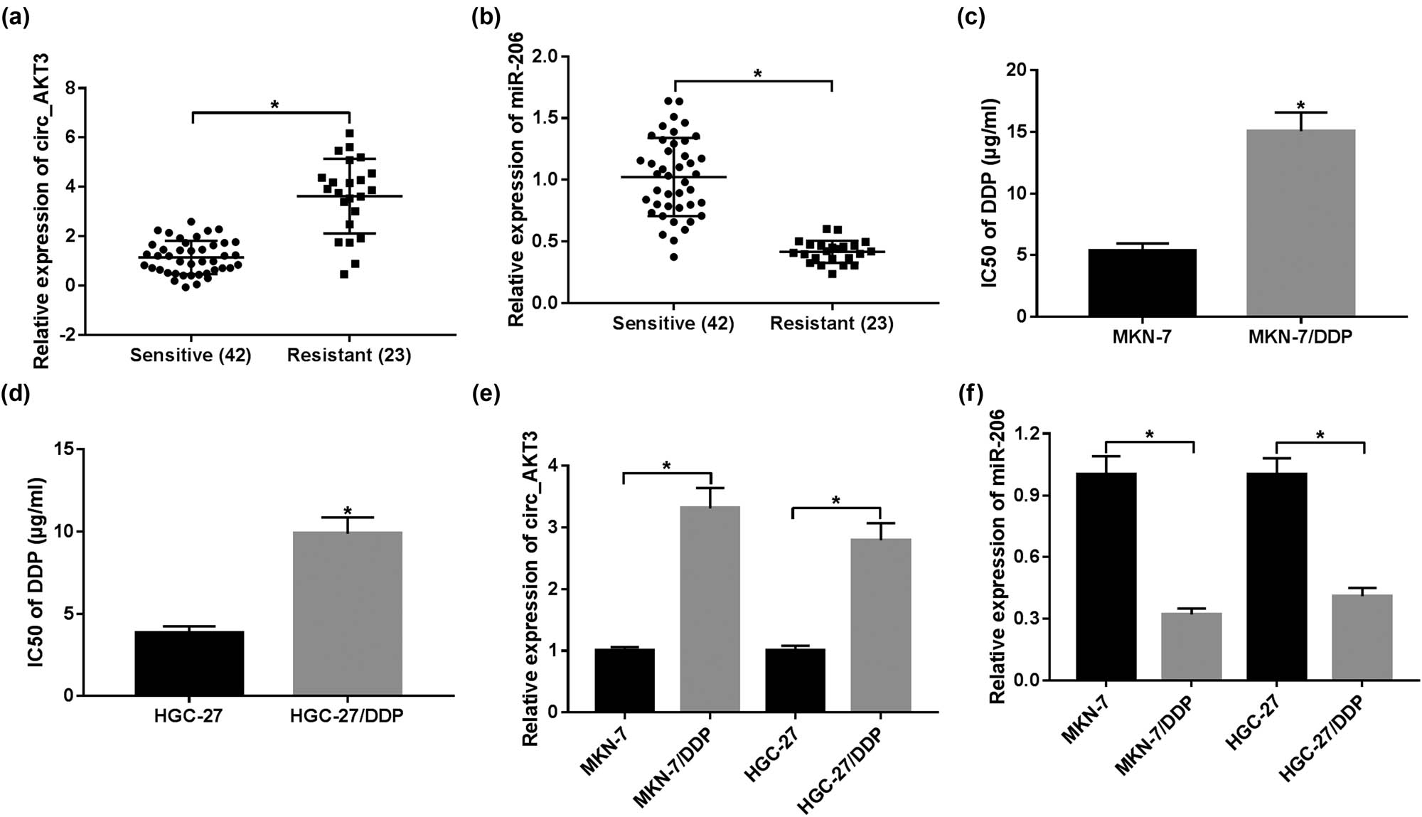 Figure 1 
                  circ_AKT3 expression is elevated and miR-206 level is decreased in resistant GC. (a and b) The levels of circ_AKT3 and miR-206 were measured in sensitive (n = 42) and resistant (n = 23) GC tissues via RT-qPCR. (c and d) The IC50 of cisplatin was analyzed in MKN-7, MKN-7/DDP, HGC-27 and HGC-27/DDP cells by MTT assay. (e and f) The levels of circ_AKT3 and miR-206 were detected in DDP-sensitive and DDP-resistant GC cells via RT-qPCR. *P < 0.05.
               
