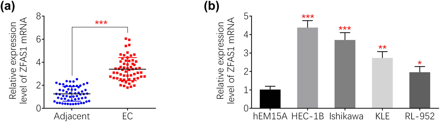 Figure 1 
                  Elevated ZFAS1 in endometrial carcinoma. (a) ZFAS1 was enhanced in the endometrial carcinoma tissues compared to adjacent tissues. (b) ZFAS1 was enhanced in the endometrial carcinoma cell lines (HEC-1B, Ishikawa and KLE, RL-952) compared to hEM15A. *p < 0.05, **p < 0.01 and ***p < 0.0001.
               