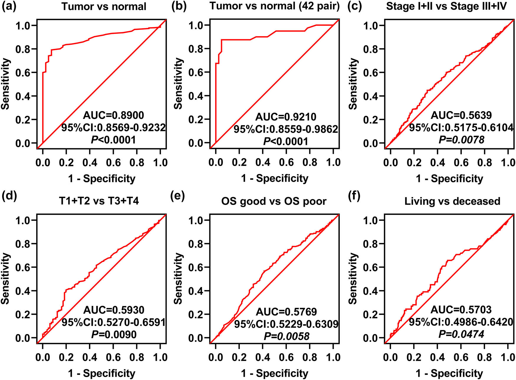 Figure 3 
                  ROC curve analysis of OXTR expression related to the indicated clinical parameters in COAD patients. (a) The ROC curve analysis of COAD tissue and unpaired normal tissue. (b) The ROC curve analysis of COAD tissues and paired normal tissues. (c–f) ROC curve analysis of TNM stage (c), T stage (d), OS (e), and living status (f). AUC: area under the curve; OS: overall survival.
               