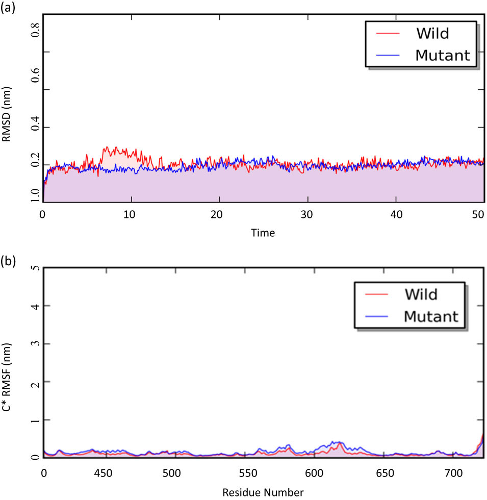 Figure 3
Simulation results: (a) RMSD at 50 ns time interval; and (b) RMSF results for the 400–722 aa residue of the GNE transcript hGNE1.
