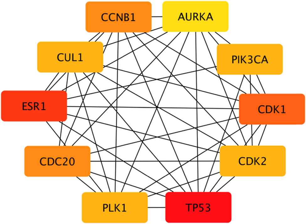 Figure 4 
                  Top hub genes and their interactions of the PPI network. Note: Box colors only represent relative comparison of connection counts of boxes in Figure 3. Deeper red represents more connections.
               