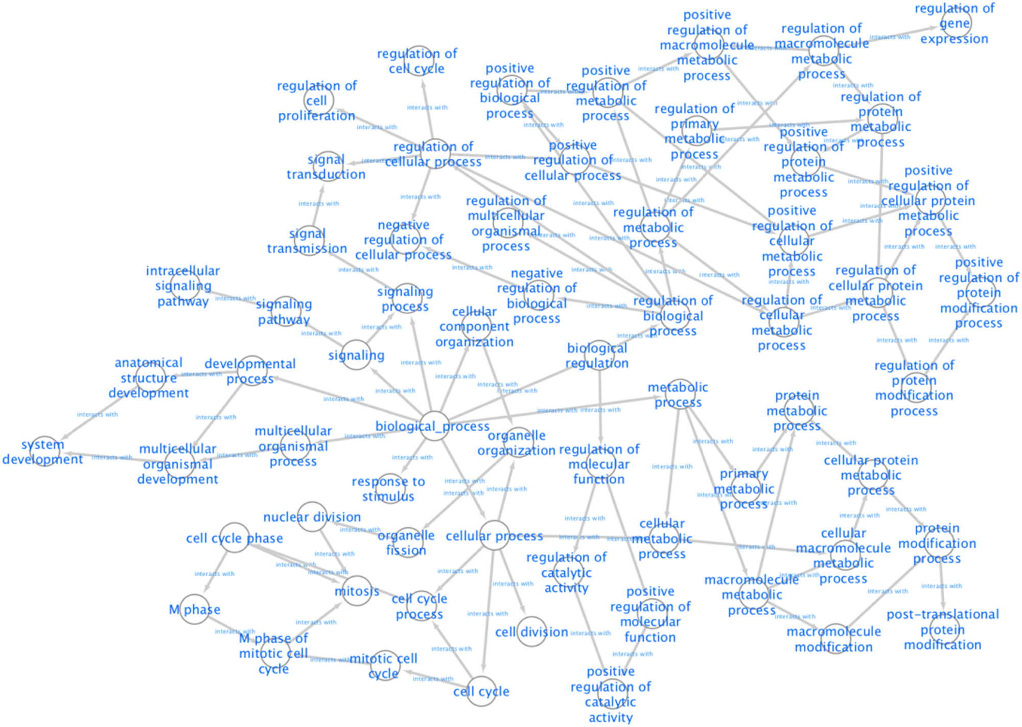 Figure 5 
                  Pathways of enriched BPs according to results of the BiNGO.
               