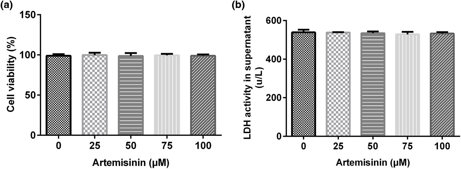 Figure 1 
                  Cytotoxic effect of ART on SH-SY5Y cells. SH-SY5Y cells were treated with ART at different concentrations (0, 25, 50,75, and 100 μM) for 24 h. Different ART concentrations had no significant effect on SH-SY5Y: (a) cell viability and (b) lactate dehydrogenase activity.
               