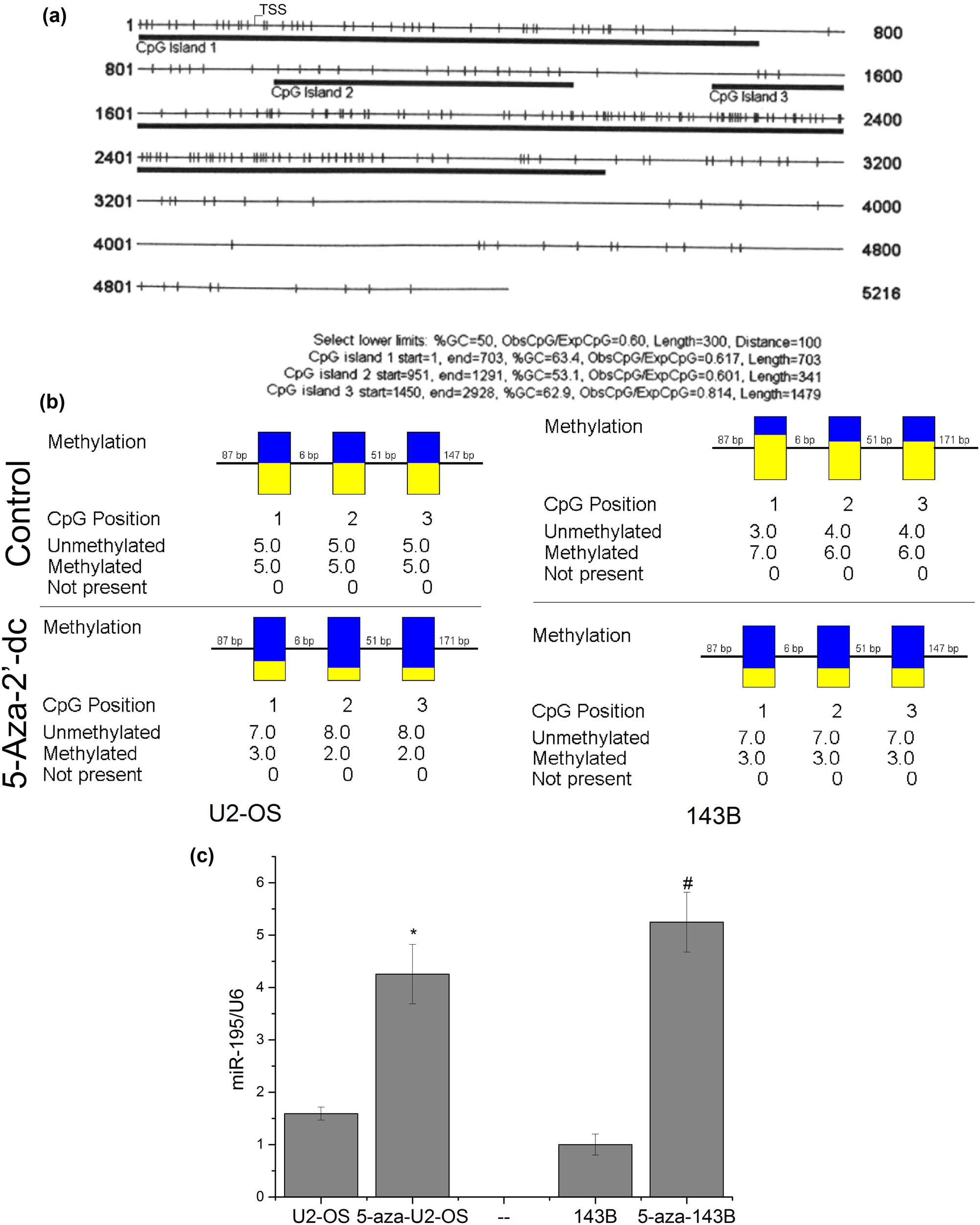 Figure 4 
                  The methylation of miR-195 was one of the reasons why miR-195 decreased. (a) The prediction results showed that the promoter region of miR-195 is full of CPG islands. (b) Bisulfite sequencing PCR (BSP) assay showed that the methylation levels of the miR-195 promoter region were significantly downregulated on cells treated with 5-aza-2′-dc (n = 6). (c) The expression level of miR-195 was significantly upregulated in U2-OS and 143B cells treated with the demethylation reagent in vitro (n = 6). The error bar represents the standard variation of the miR-195 levels in the U2-OS or 143B cells treated with 5-aza.
               