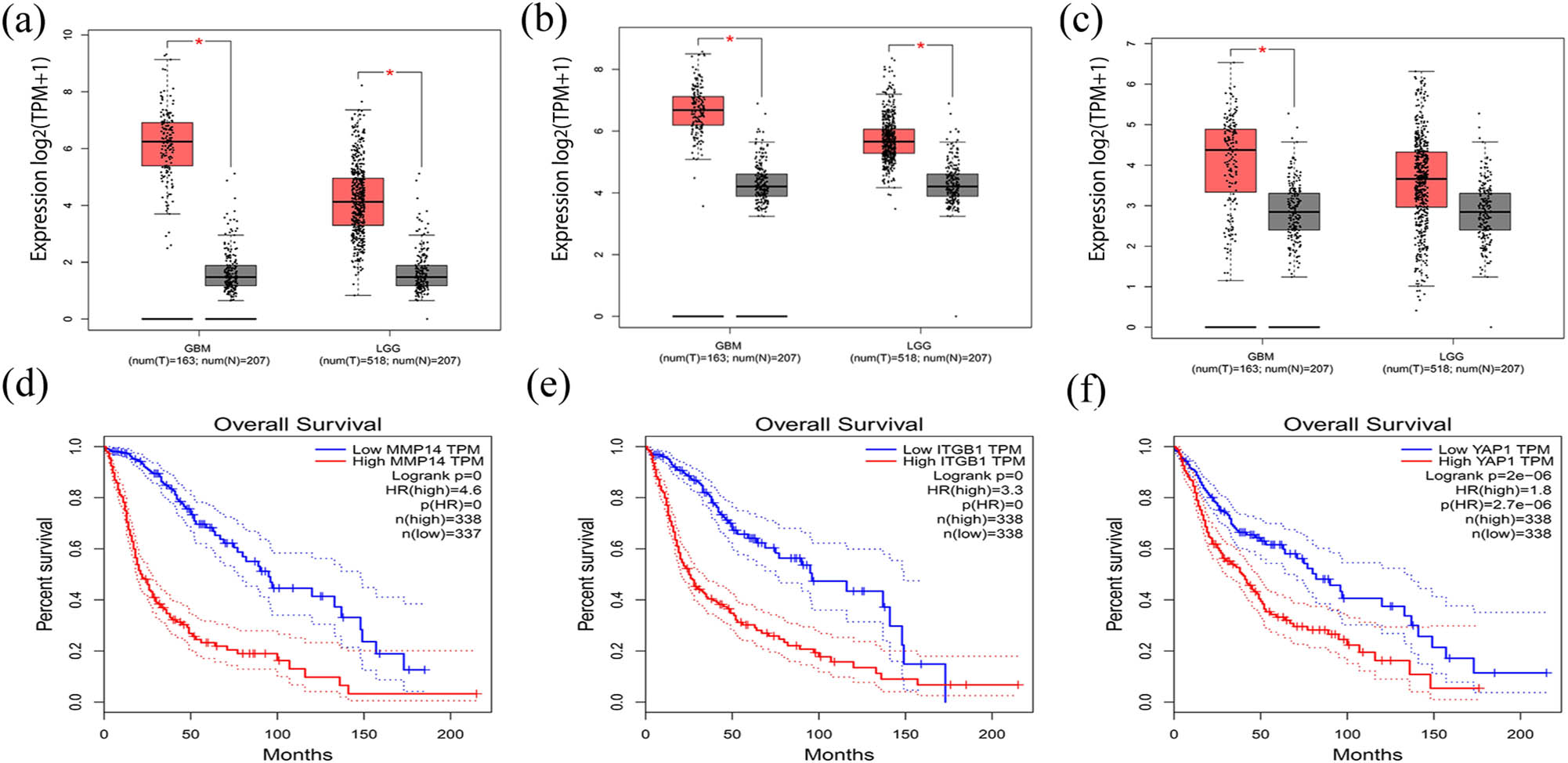Figure 2
Expression levels and prognostic values of MT1-MMP, β1-integrin and YAP1 in glioma by GEPIA. (a–c) Expression levels of MT1-MMP, β1-integrin and YAP1 in glioma and normal brain tissues. (d–f) Prognostic values of MT1-MMP, β1-integrin and YAP1 in patients with glioma. HR: hazard ratio. GBM: glioblastoma, LGG: lower-grade glioma. *p < 0.05.