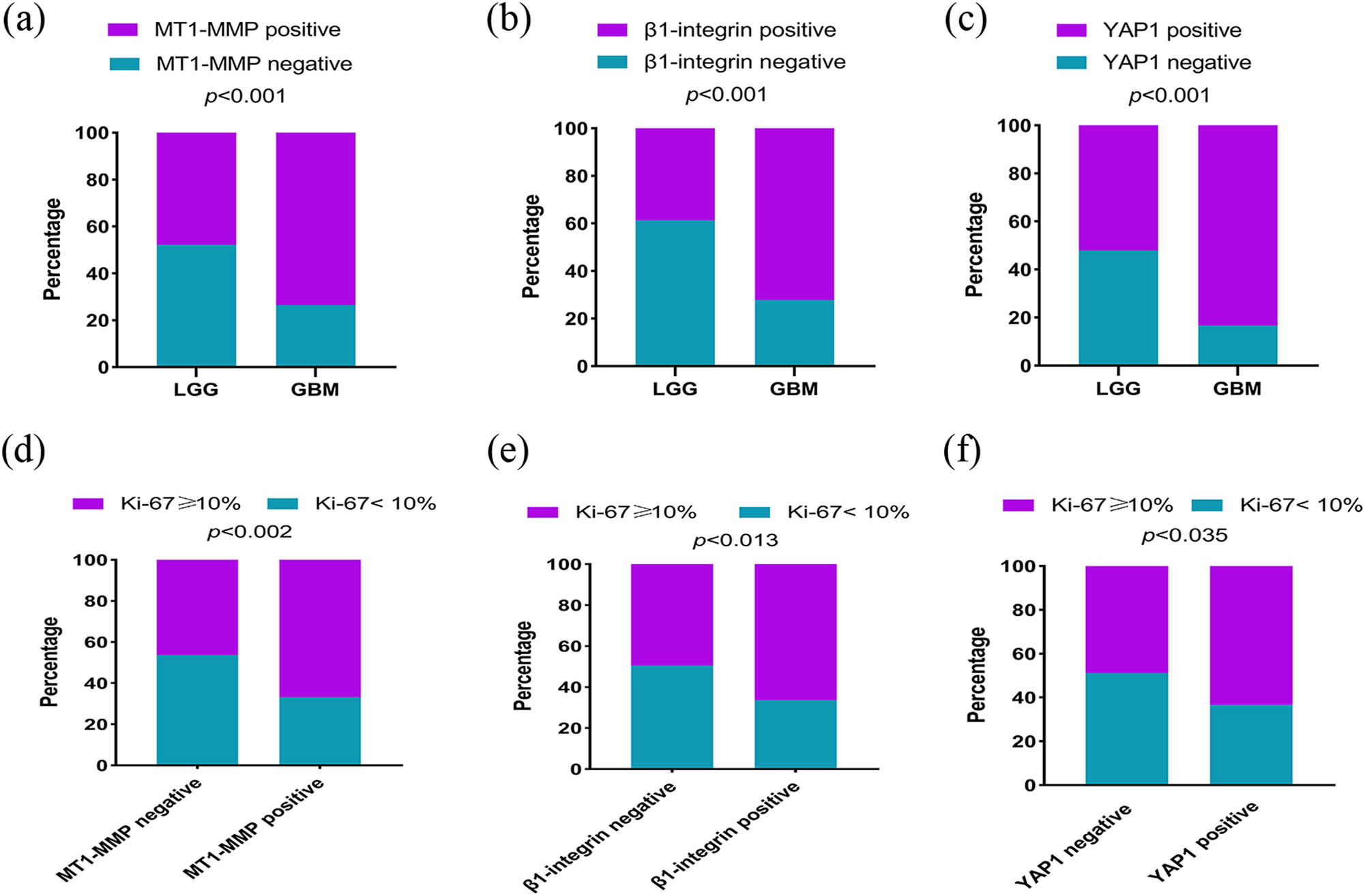 Figure 5
The expression levels of MT1-MMP, β1-integrin, YAP1 and Ki-67 in glioma. (a) MT1-MMP high expression in 47.9% LGG and 73.6% GBM. (b) β1-integrin high expression in 38.7% LGG and 72.2% GBM. (c) YAP1 high expression in 52.1% LGG and 83.3% GBM. (d) Ki-67 high expression in 20.1% MT1-MMP negative and 37.9% MT1-MMP positive. (e) Ki-67 high expression in 18.2% β1-integrin negative and 39.7% β1-integrin positive. (f) Ki-67 high expression in 24.8% YAP1 negative and 33.2% YAP1 positive. GBM, glioblastomas; LGG, lower-grade gliomas.