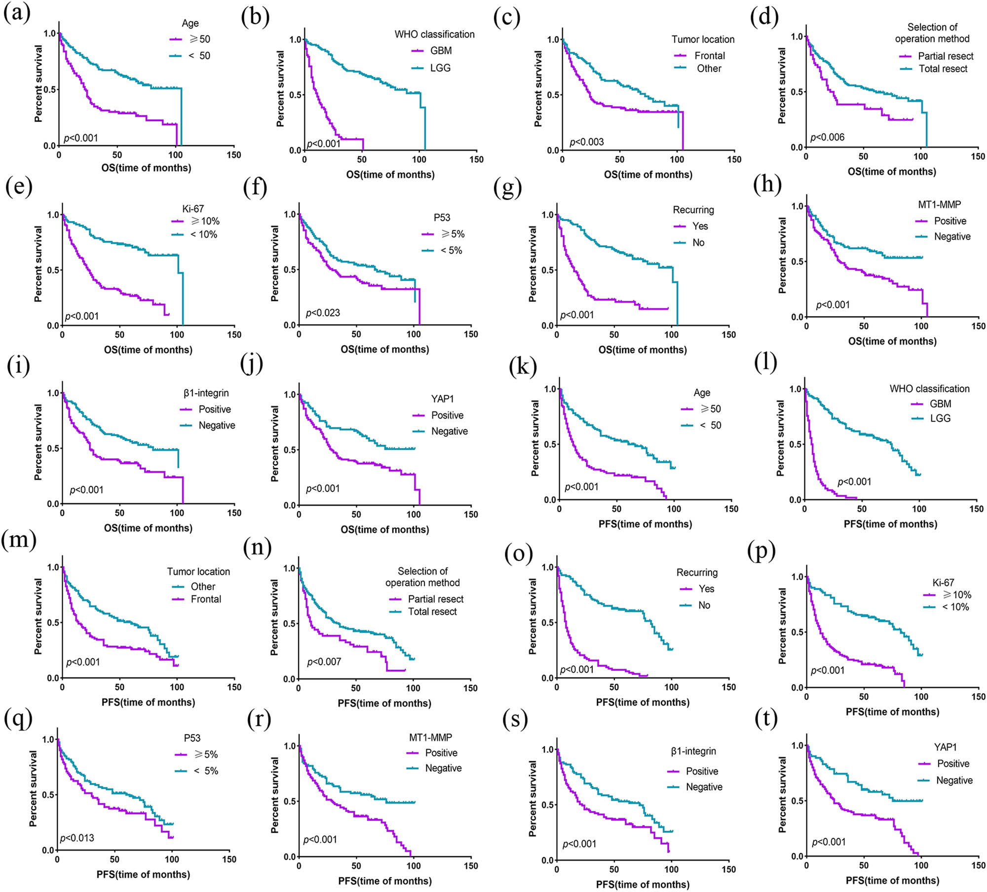 Figure 7
Kaplan–Meier survival analysis for overall survival and progression-free survival. (a–j) Results of univariate survival analysis by the Kaplan–Meier method on OS (p < 0.05). (k–t) Results of univariate survival analysis by the Kaplan–Meier method on PFS (p < 0.05).