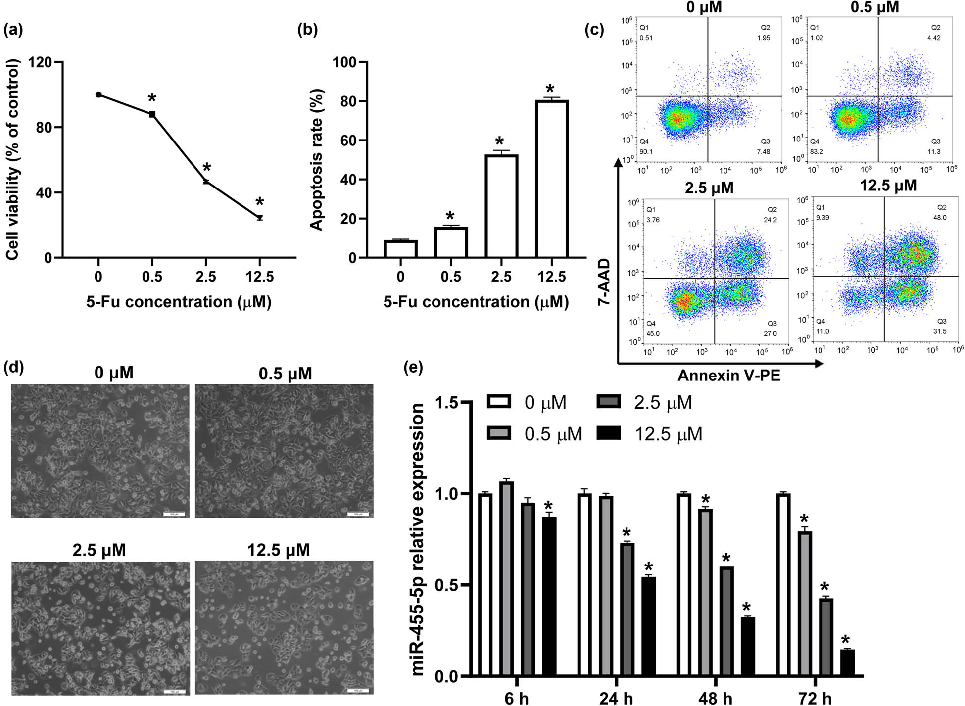 Figure 1 
                  miR-455-5p expression decreased in 5-Fu-treated CRC cells. (a) HT-29 cells were treated with different concentrations of 5-Fu for 48 h, CCK-8 was used to assay cell viability. (b and c) Flow cytometry was used to detect the apoptosis of HT-29 cells under different treatments. (d) Cell morphology was observed with a microscope. (e) The expression of miR-455-5p was analyzed by real-time PCR in HT-29 cells after treatment with 5-Fu (0, 0.5, 2.5, and 12.5 μM) for 6, 24, 48, and 72 h. *
                     P < 0.05 vs the control (0 μM) group.
               