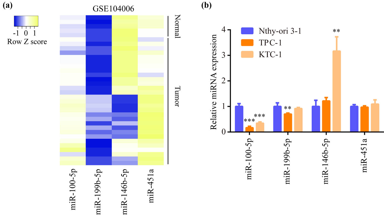 Figure 1
miR-100-5p was one of the differentially expressed miRNAs in PTC: (a) Microarray data of five non-neoplastic thyroid tissues and 29 PTC tissues (GSE104006) were downloaded, and the differentially expressed miRNAs were analyzed. Heatmap showed the top four differentially expressed miRNAs between two groups. (b) RT-PCR exhibited the expression difference of miR-100-5p, miR-199b-5p, miR-146b-5p, and miR-451a among TPC-1, KTC-1, and Nthy-ori3-1. **, p < 0.01 and ***, p < 0.001.