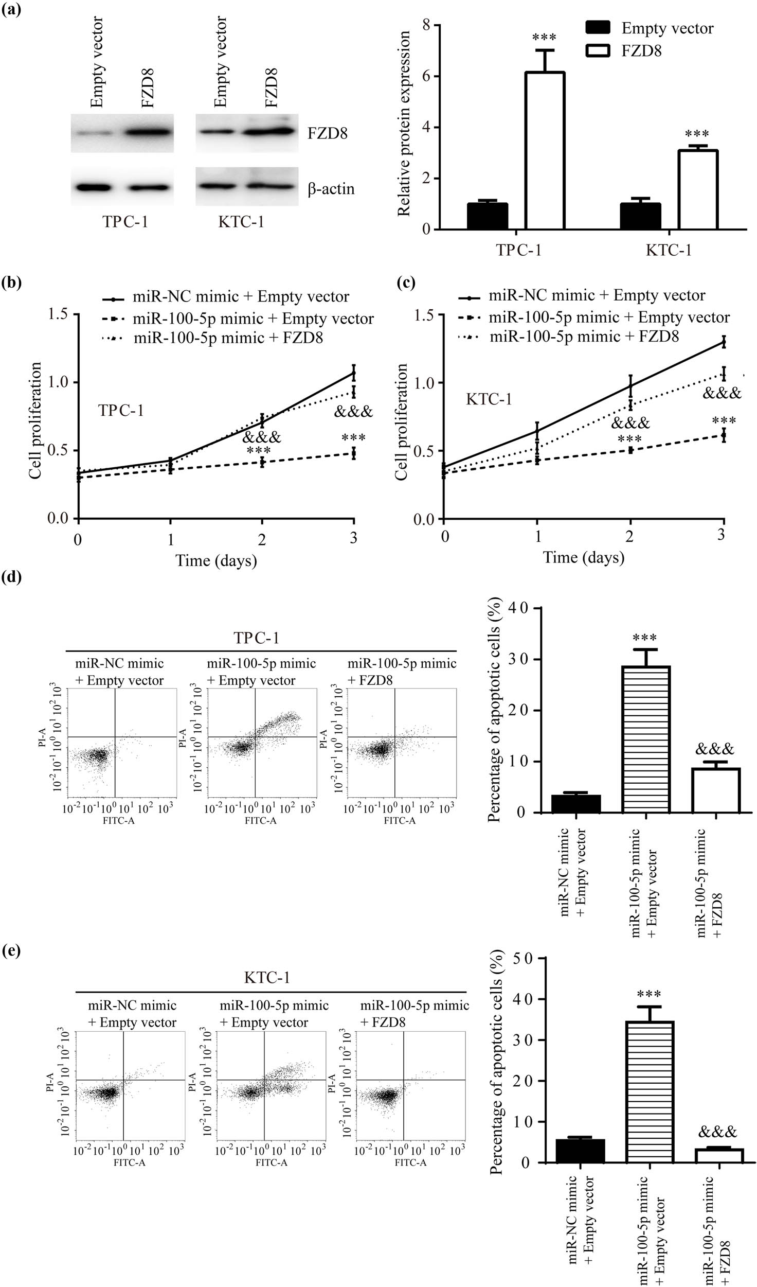 Figure 4
miR-100-5p/FZD8 regulated PTC cell proliferation and apoptosis: (a) western blotting showed that transfection of full length FZD8 increased FZD8 protein expression in TPC-1 and KTC-1, (b and c) the CCK8 assay revealed that miR-100-5p mimic inhibited cell proliferation, this effect was attenuated by FZD8 in TPC-1 and KTC-1, and (d and e) flow cytometry analysis presented that miR-100-5p mimic promoted cell apoptosis and this effect was attenuated by FZD8 in TPC-1 and KTC-1. ***, vs miR-NC mimic + Empty vector, p < 0.001; &&&, vs miR-100-5p mimic + Empty vector, p < 0.001.