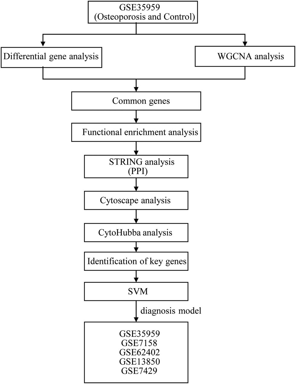 Figure 1
Work flow chart.