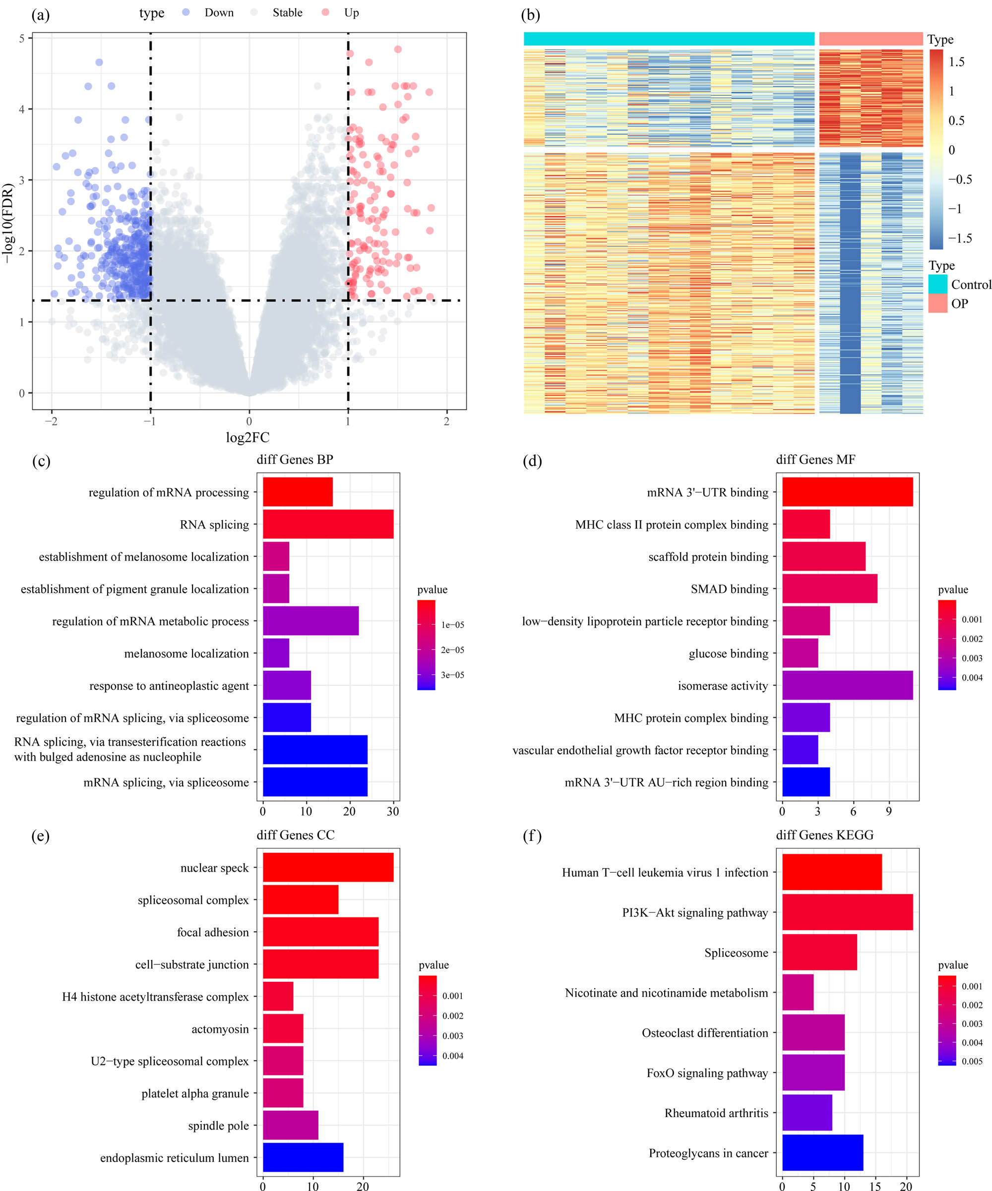 Figure 2
Identification of DEGs: (a) the volcano map of DEGs in GSE35959 dataset, (b) the heat map of DEGs in GSE35959 dataset, (c) the BP annotation map of DEGs, (d) the CC annotation map of DEGs, (e) the MF annotation map of DEGs, and (f) the KEGG annotation map of DEGs.