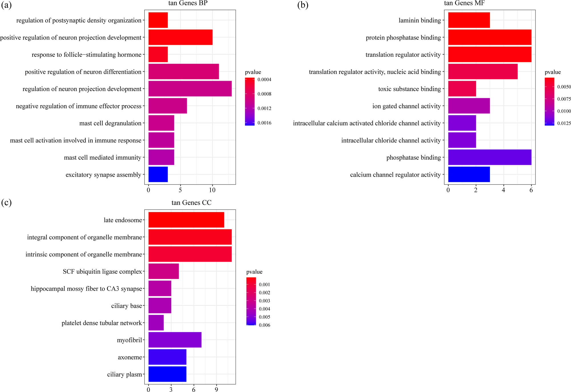 Figure 5
Functional enrichment analysis of DEGs in tan model: (a) the BP annotation map of DEGs in tan model, (b) the CC annotation map of DEGs in tan model, and (c) the MF annotation map of DEGs in tan model.