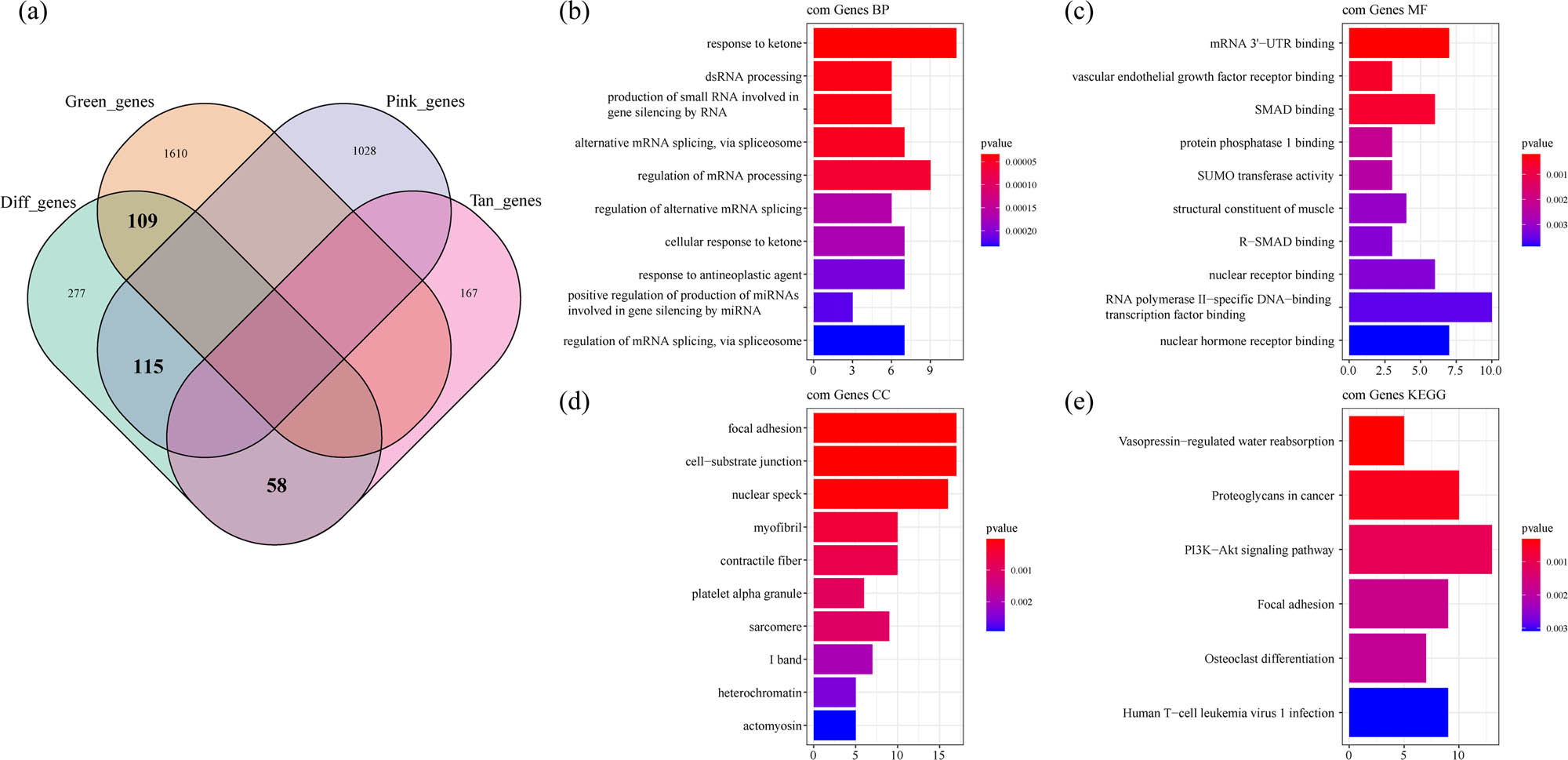 Figure 6
Identification of co-expression of DEGs: (a) Venn diagram of co-expressed genes and DEGs, (b) the BP annotation map of co-expression of DEGs, (c) the CC annotation map of co-expression of DEGs, (d) the MF annotation map of co-expression of DEGs, and (e) the KEGG annotation map of co-expression of DEGs.
