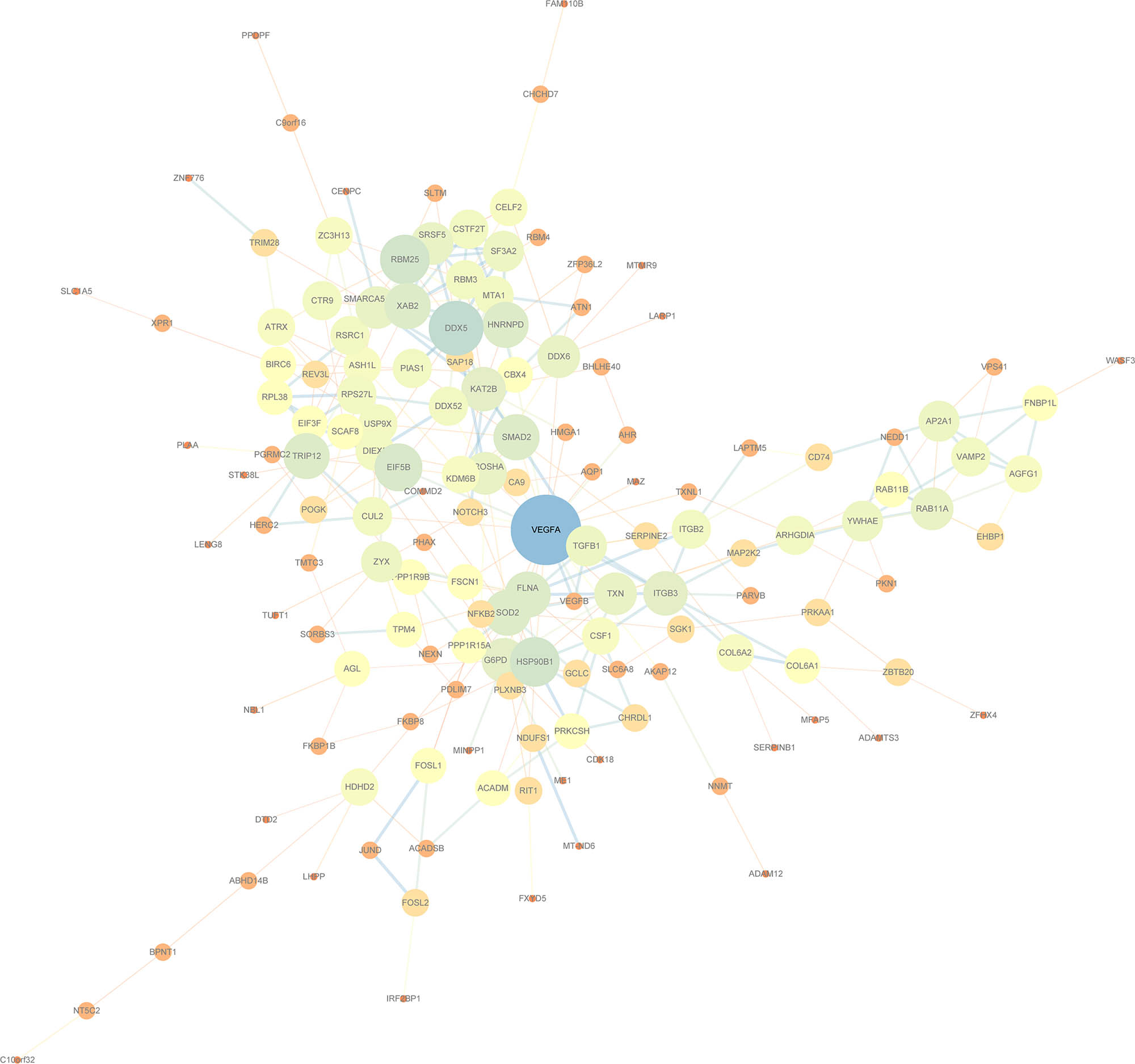 Figure 7
PPI diagram of STRING protein network visualized by Cytoscape.