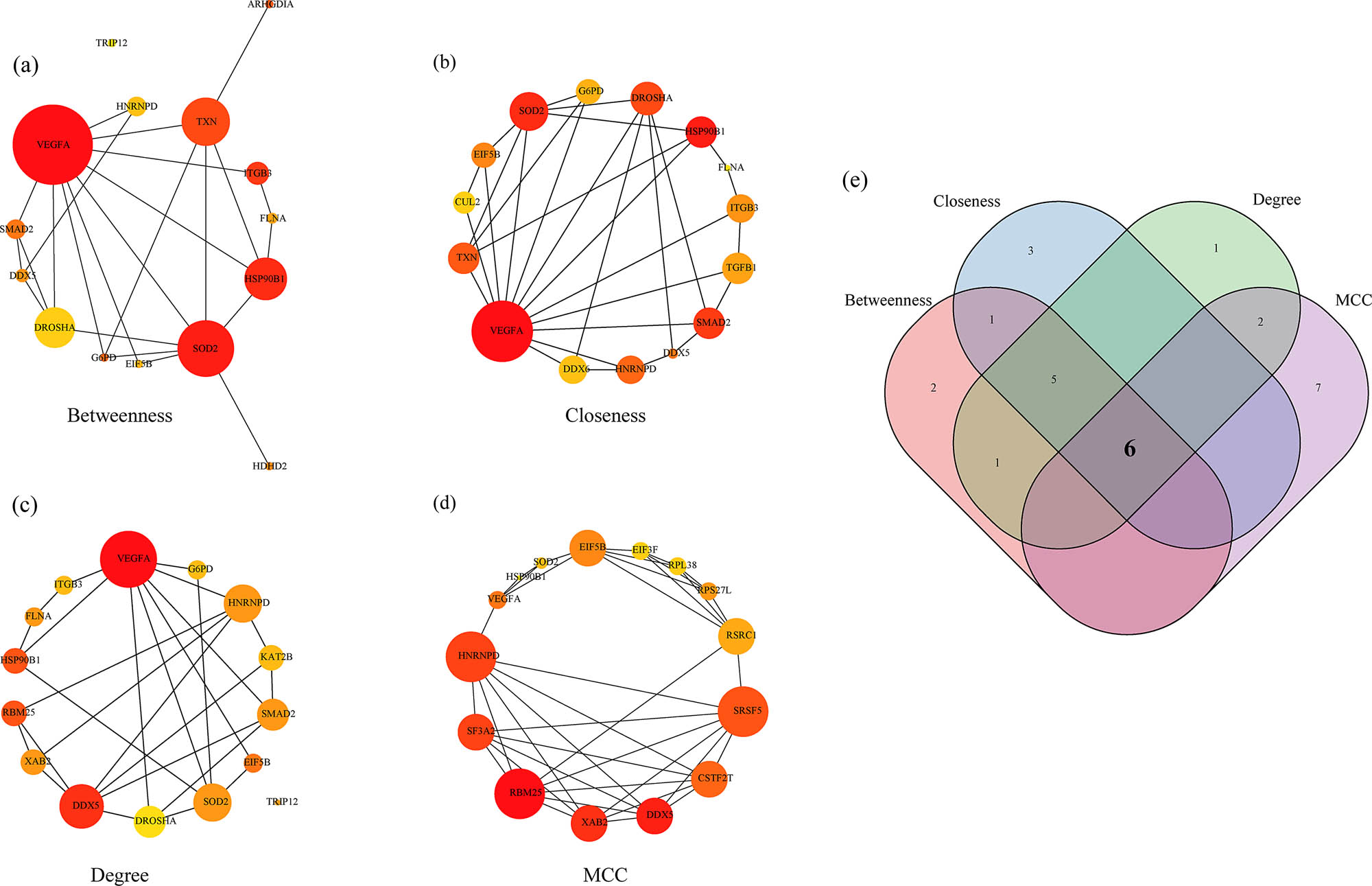 Figure 8
Identification of Hub genes: (a) PPI network of hub genes obtained by Betweenness algorithm, (b) PPI network of hub genes obtained by Closeness algorithm, (c) PPI network of hub genes obtained by Degree algorithm, (d) PPI network of hub genes obtained by MCC algorithm, and (e) Venn diagram of the Hub genes obtained by the four algorithms.