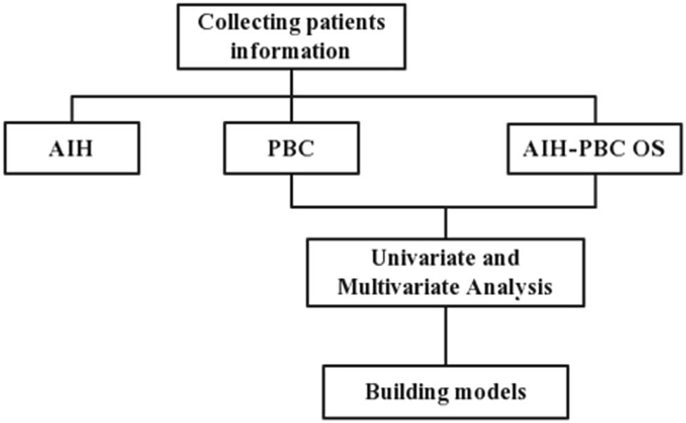 Figure 1 
                  Brief scheme of the study design.
               