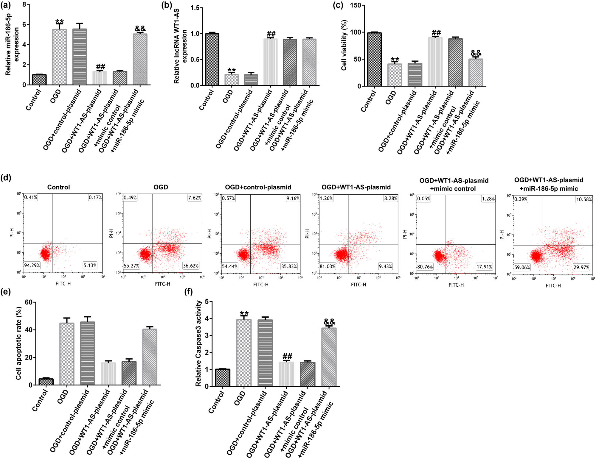 Figure 4
Effect of lncRNA WT1-AS on OGD-induced nerve cell injury. (a) RT-qPCR analysis results showing microRNA-186-5p expression levels. (b) RT-qPCR analysis results showing lncRNA WT1-AS expression levels. (c) A MTT assay was used to assess the cell viability. (d) A flow cytometric assay was used to evaluate cell apoptosis. (e) The apoptosis ratio is presented. (f) Caspase 3 activity was detected using the corresponding kit. **
P < 0.01 vs control group; ##
P < 0.01 vs OGD + control mimics group; &&
P < 0.01 vs OGD + WT1-AS plasmid + control mimics group. GraphPad Prism 6.0 software (GraphPad Software, Inc.) was used for creation of the figure.
