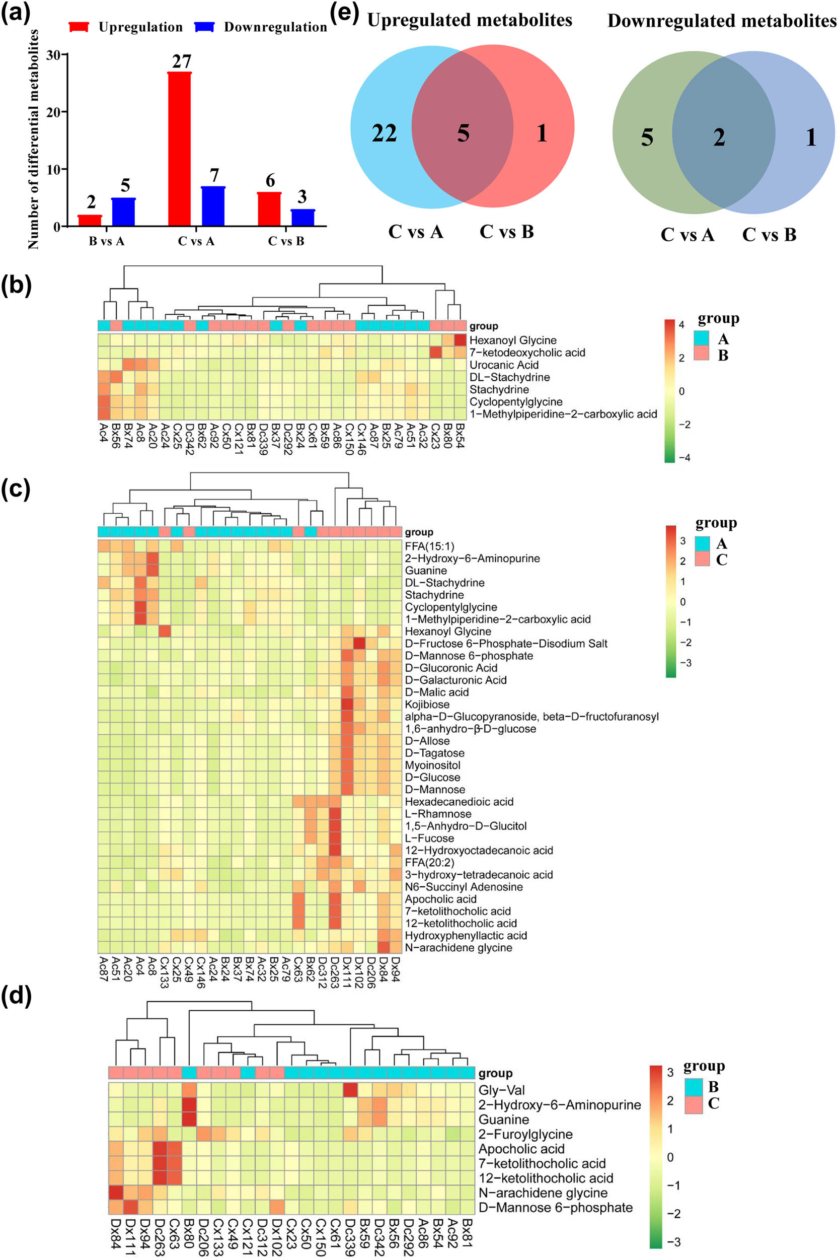 Figure 3 
                  Analyses of differential metabolites in people with different concentrations of vitamin D. (a) The number of differentially upregulated and downregulated metabolites in B vs A, C vs A, and C vs B groups. (b) The heatmap of the metabolites in the B vs A group. (c) The heatmap of the metabolites in the C vs A group. (d) The heatmap of the metabolites in the C vs B group. (e) Venn diagram comparison of upregulated and downregulated metabolites between the C vs A and C vs B groups.
               