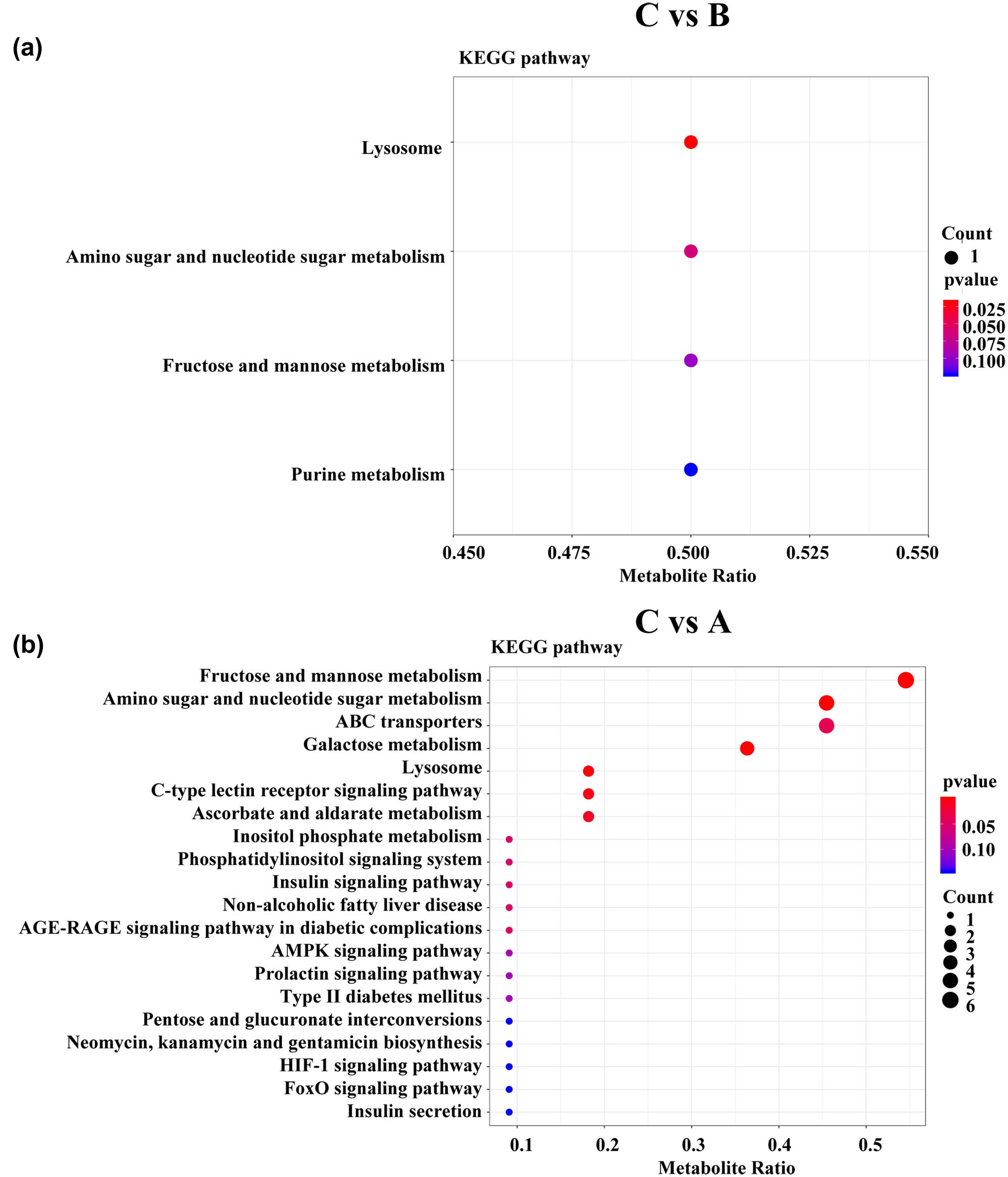 Figure 4 
                  Analyses of metabolic pathways. (a) KEGG pathway analyses of the differential metabolites in C vs B. (b) KEGG pathway analyses of the differential metabolites in C vs A. Each point represents one metabolic pathway. The size of the dots indicates the number of metabolites. Circle colours indicate pathway enrichment significance.
               