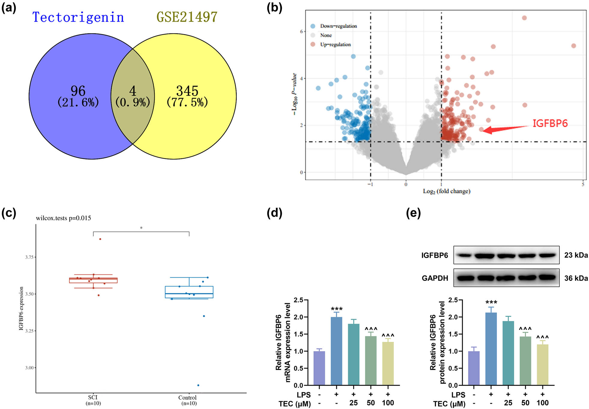 Figure 4
The expression of IGFBP6 was predicted and validated to be induced by LPS and inhibited by TEC. (a) SwissTargetPrediction (http://www.swisstargetprediction.ch/) and GSE21497 database were used to predict the potential target of TEC in disease treatment, and four targets were found, including TBXAS1, IGFBP6, OPRD1, and CA3. (b and c) GEO2R (https://www.ncbi.nlm.nih.gov/geo/geo2r/) was applied to analyze GSE21497 database, thereby obtaining the results that IGFBP6 was overexpressed in SCI tissues. (d and e) RT-qPCR and WB assays were carried out to measure the expression of IGFBP6 in PC12 cells under LPS inducement with or without the treatment of 25, 50, or 100 μM TEC. ***
P < 0.001 vs control group, ^^^
P < 0.001 vs LPS group. GAPDH was used as the internal reference for RT-qPCR and WB assays. All results in this figure were described as means ± SD of triplicate determination.