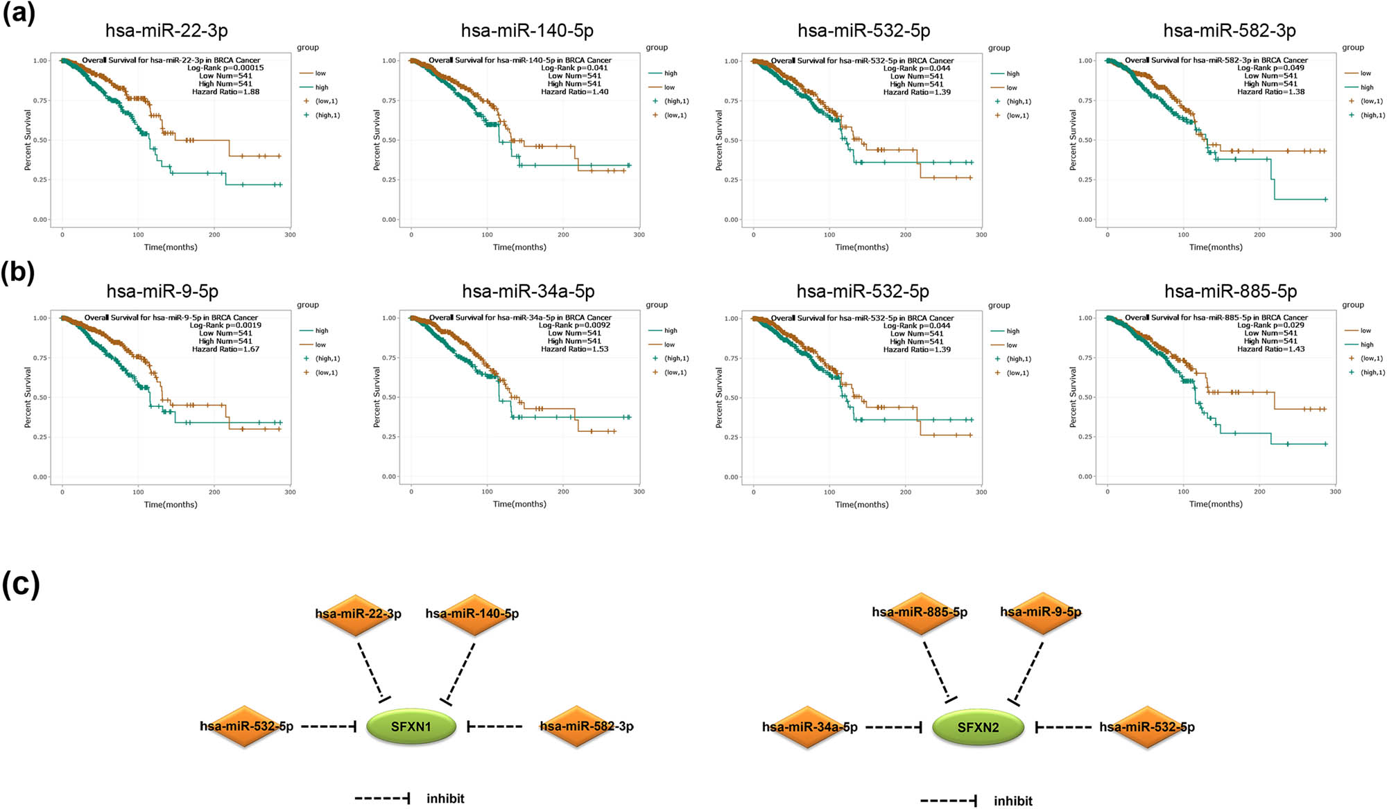 Figure 5 
                  The miRNA expression in BC predicted to regulate SFXN1 and SFXN2 and related to the prognosis of BC patients. (a) has-miR-22-3p, has-miR-140-5p, has-miR-532-5p, and has-miR-582-3p were related to poor OS in BC patients. (b) has-miR-9-5p, has-miR-34a-5p, has-miR-532-5p, and has-miR-885-5p were associated with poor OS in BC patients. (c) miRNA–SFXN1 and miRNA–SFXN2 regulation networks.
               