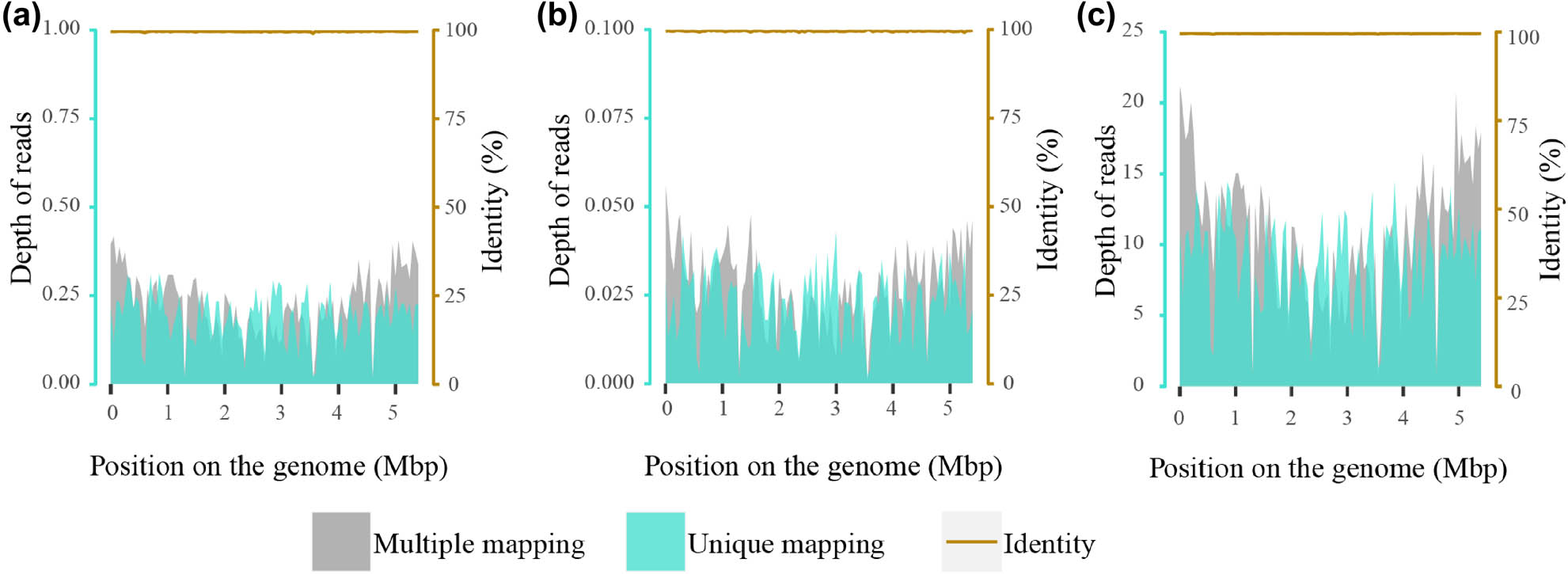 Figure 3 
               The depth and identity of detected K. pneumoniae reads by mNGS using blood on October 22 (Day 2) (a) as well as using blood (b) and liver drainage (c) on November 4 (Day 15). The identity of most reads was >99%.
            