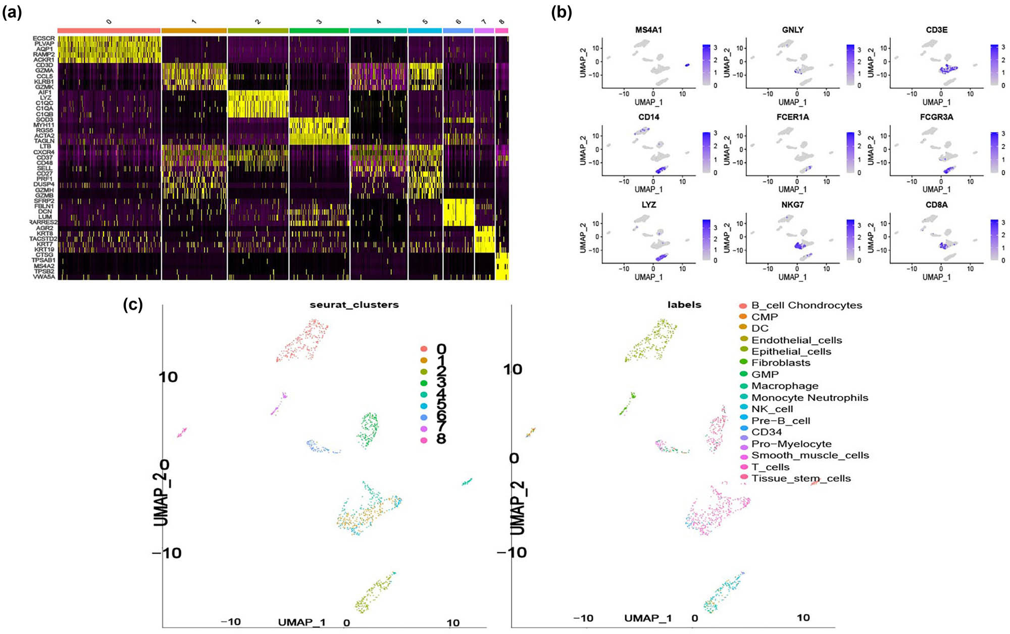 Figure 2
The acquisition of T-cell-related genes. (a) Heatmap showing the expression level of the top five marker genes of each cluster. (b) Umap plots showing the expression level of important marker genes in nine clusters. (c) Umap plots showing the cell-type identification of each cluster.